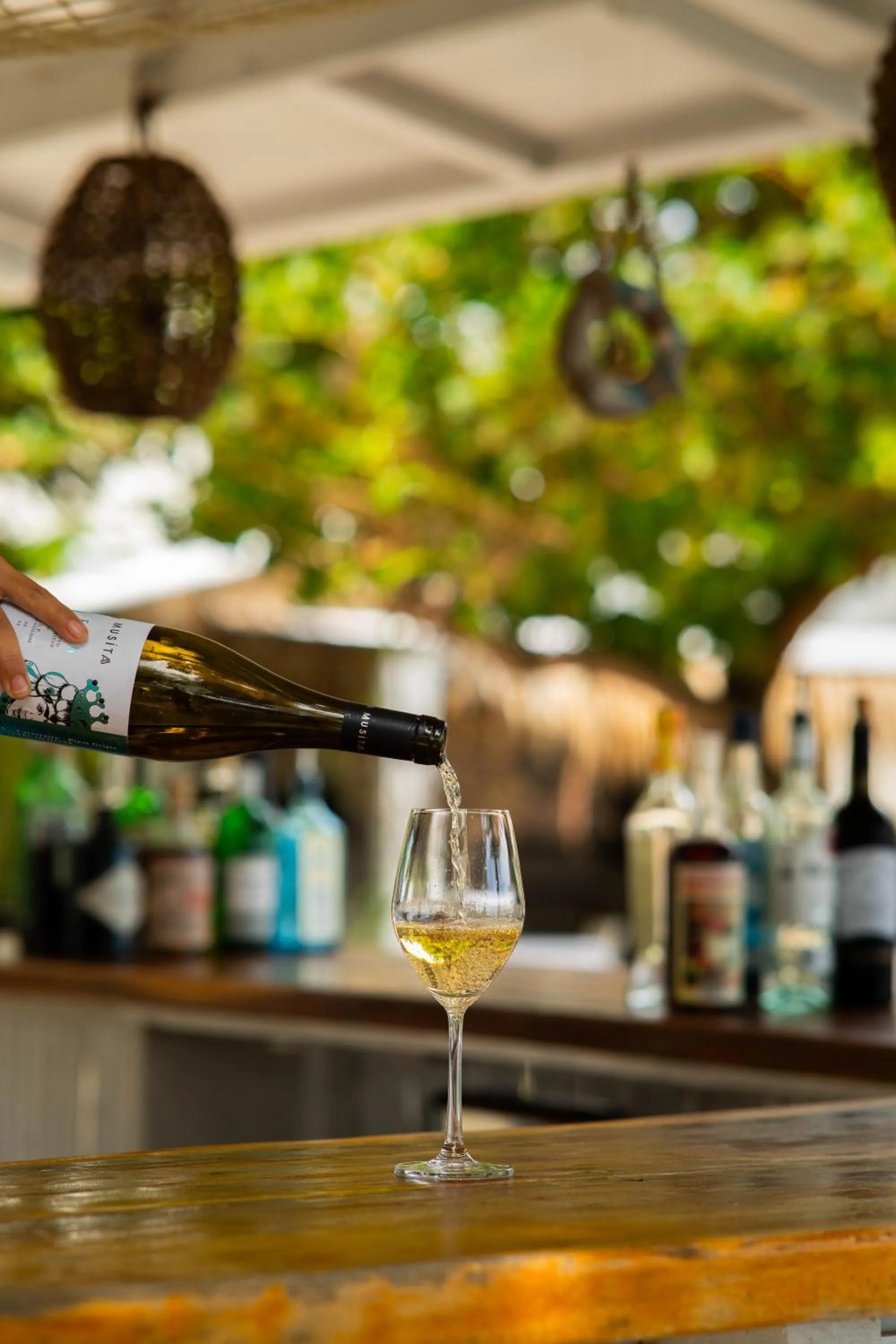 Drinks in Blanco Beach Resort Malapascua