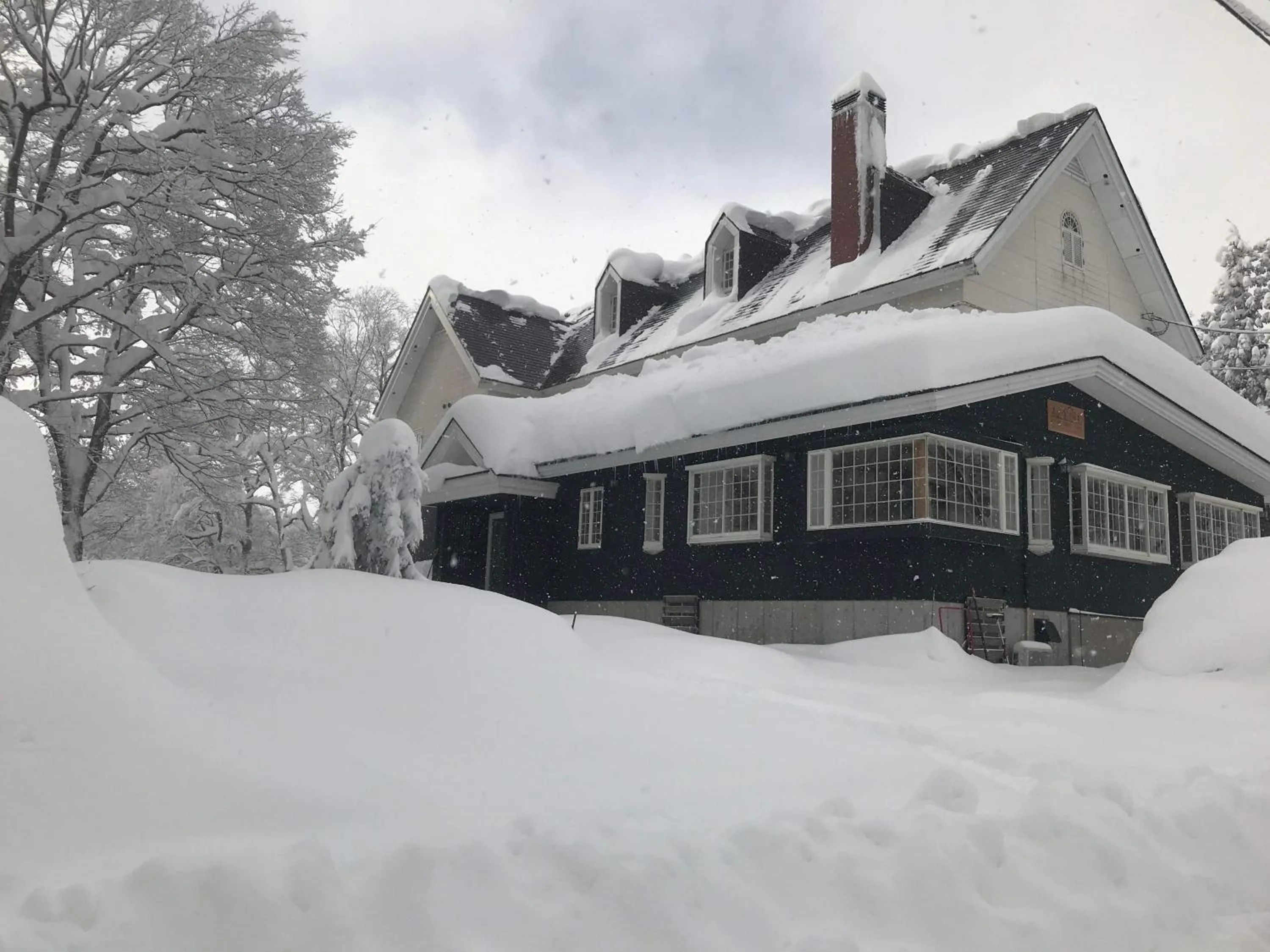Myoko Forest Lodge