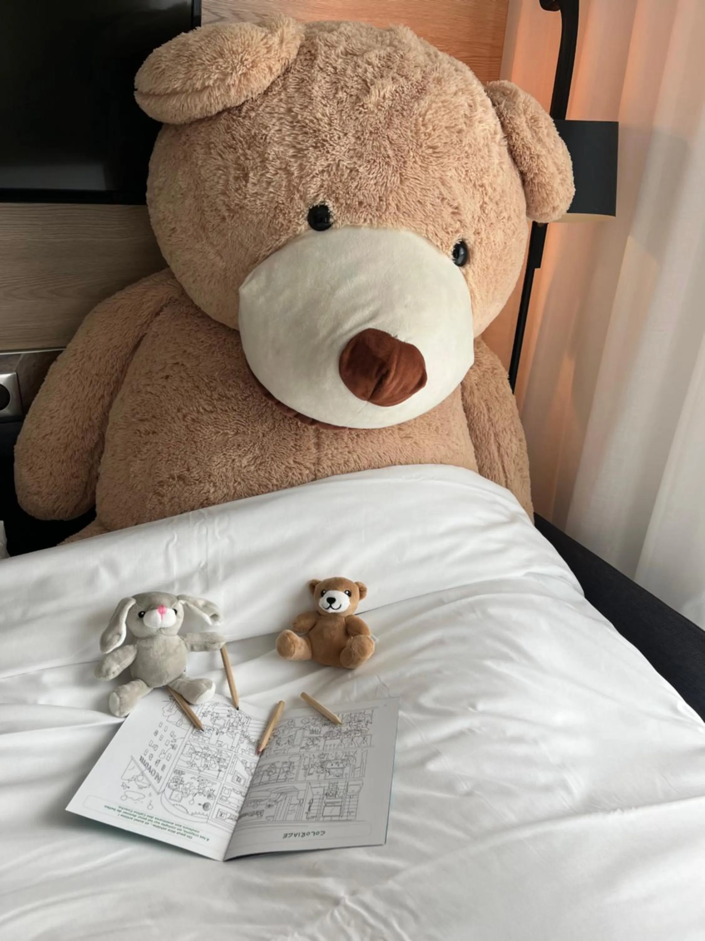 children, Bed in Novotel Angers Centre Gare