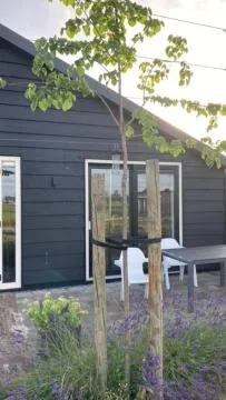 Vertoeven bij Verhoeven