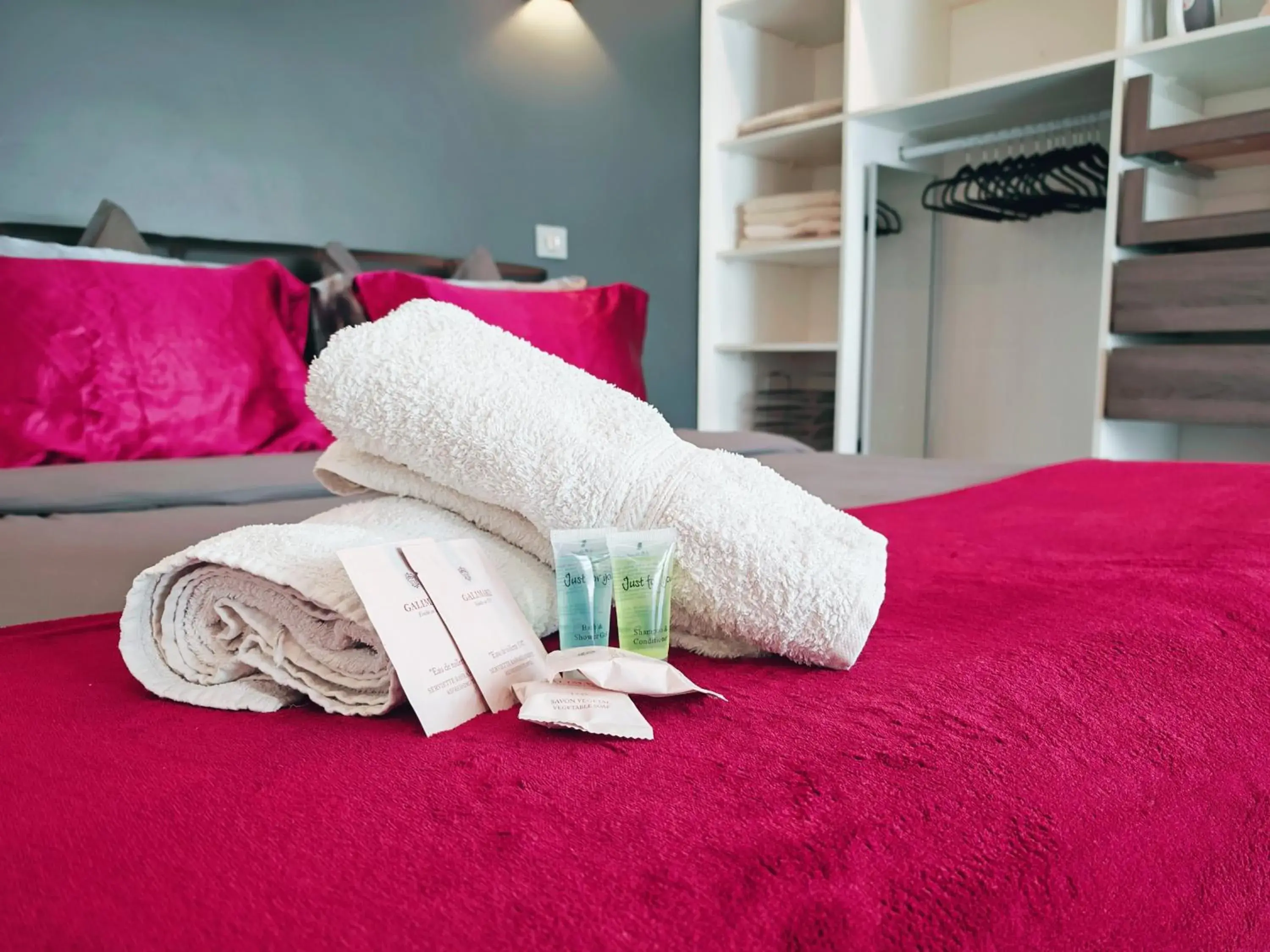 Magnifique appartement le Cannet,Cannes, Parking, Wifi Magnifique appartement le Cannet,Cannes, Parking, Wifi
