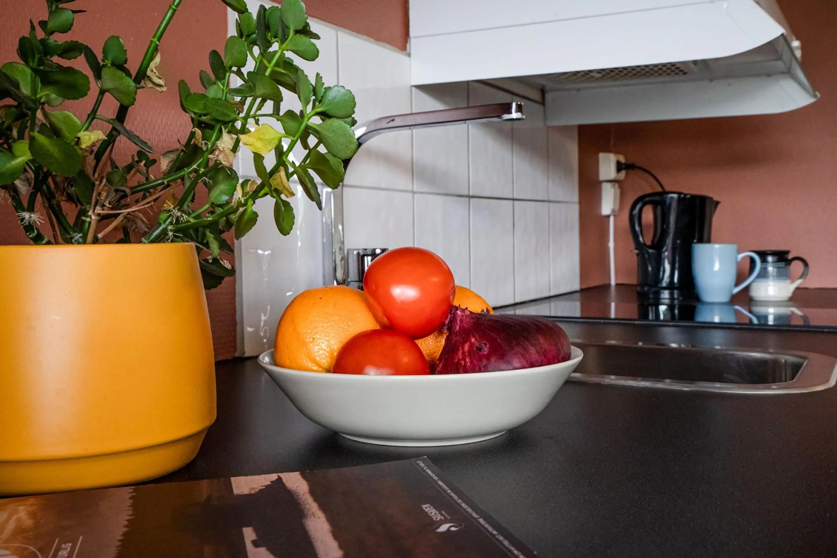 kitchen in Topcamp Mjøsa - Brumunddal