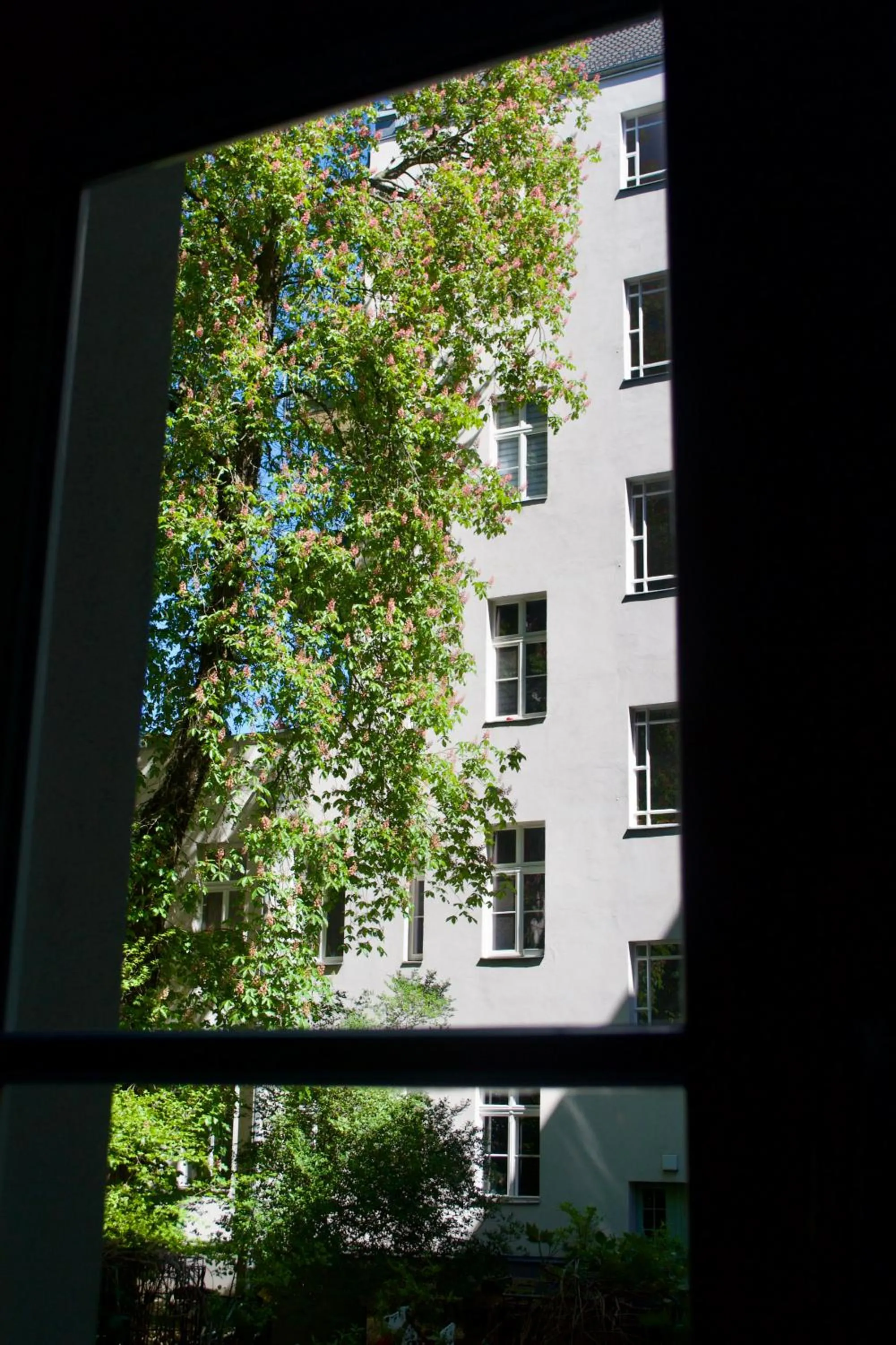Inner courtyard view in Wil7 Boutique Hotel