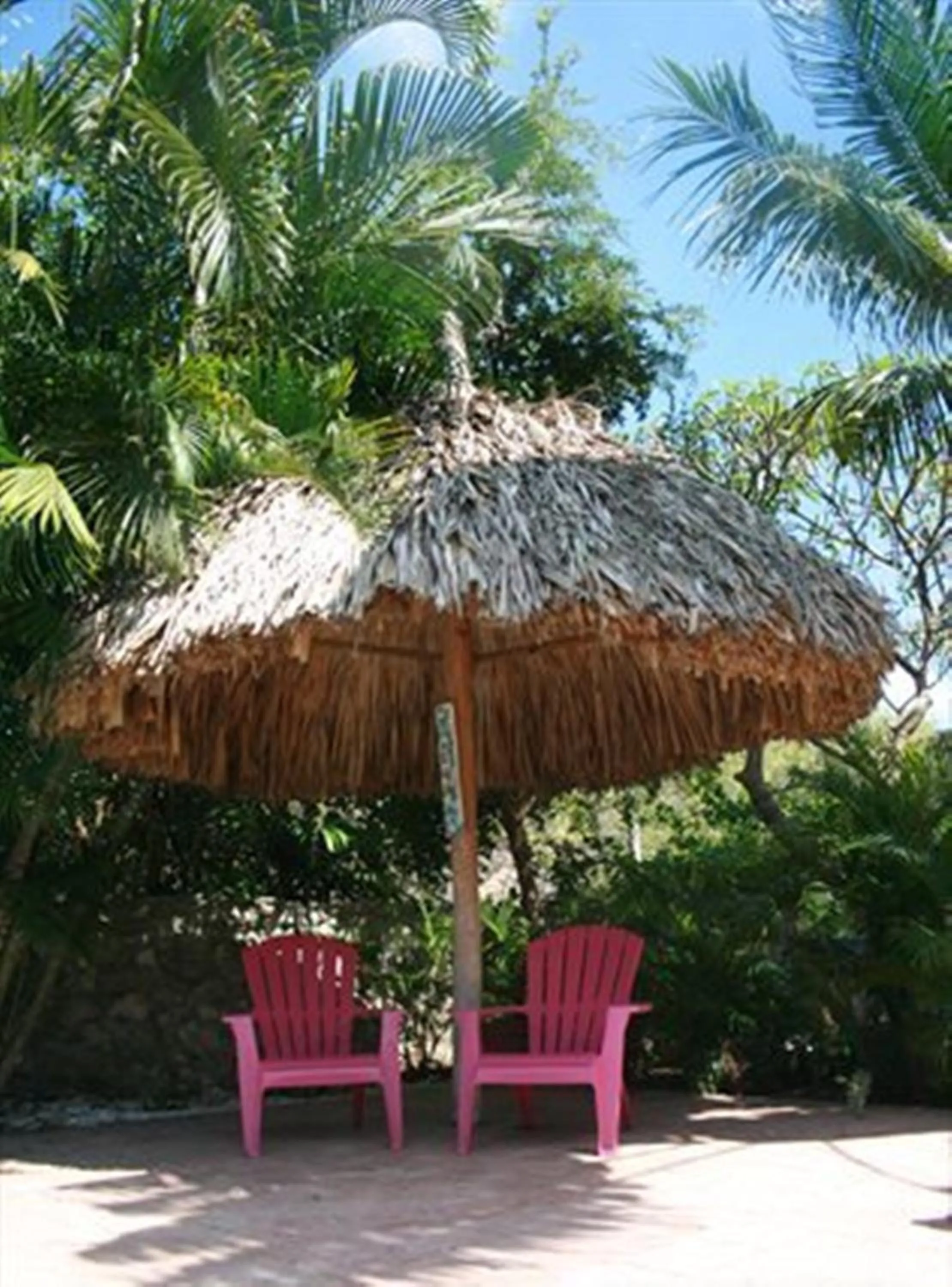Garden view in Caribbean Flower Apartments