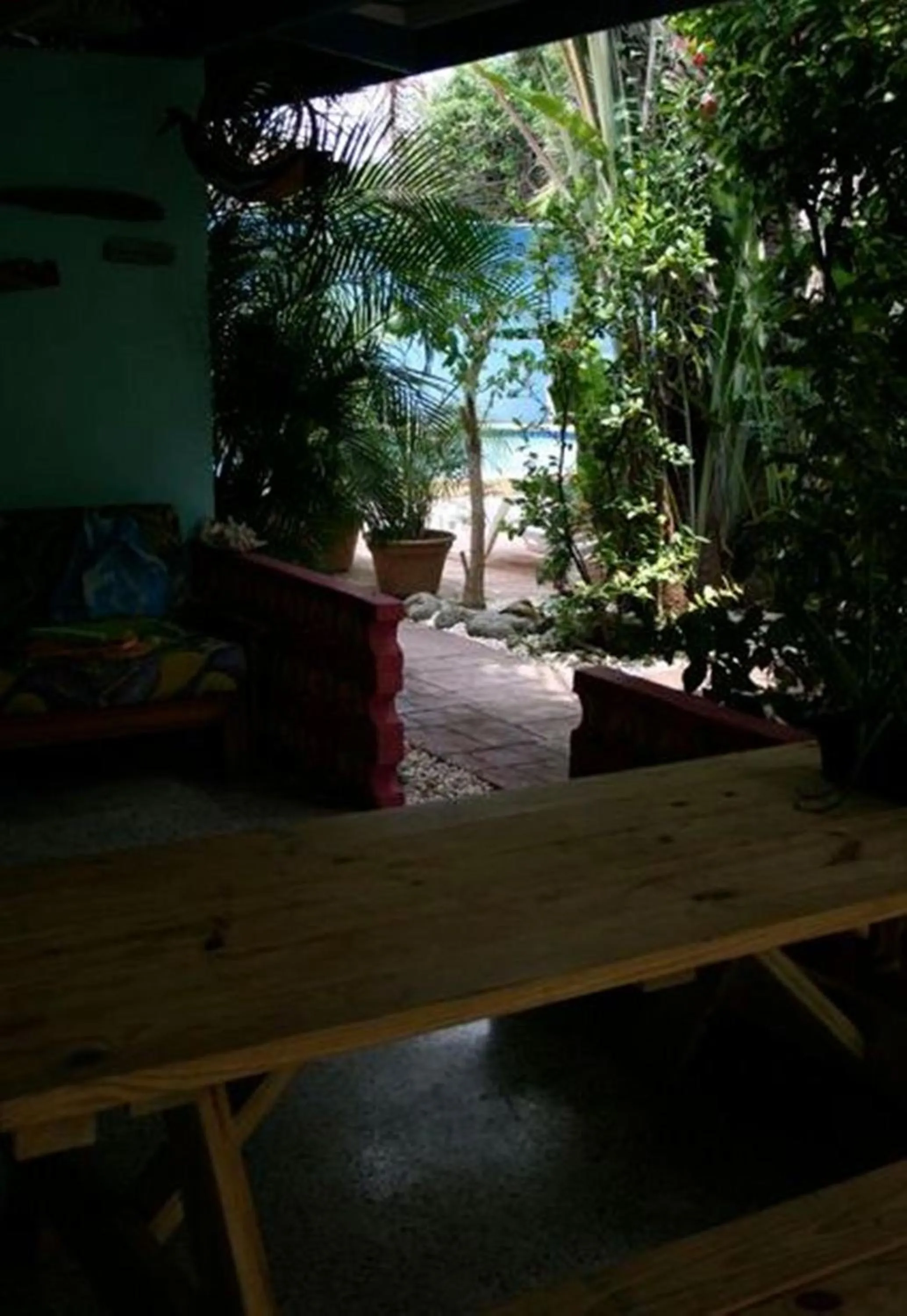Garden view in Caribbean Flower Apartments