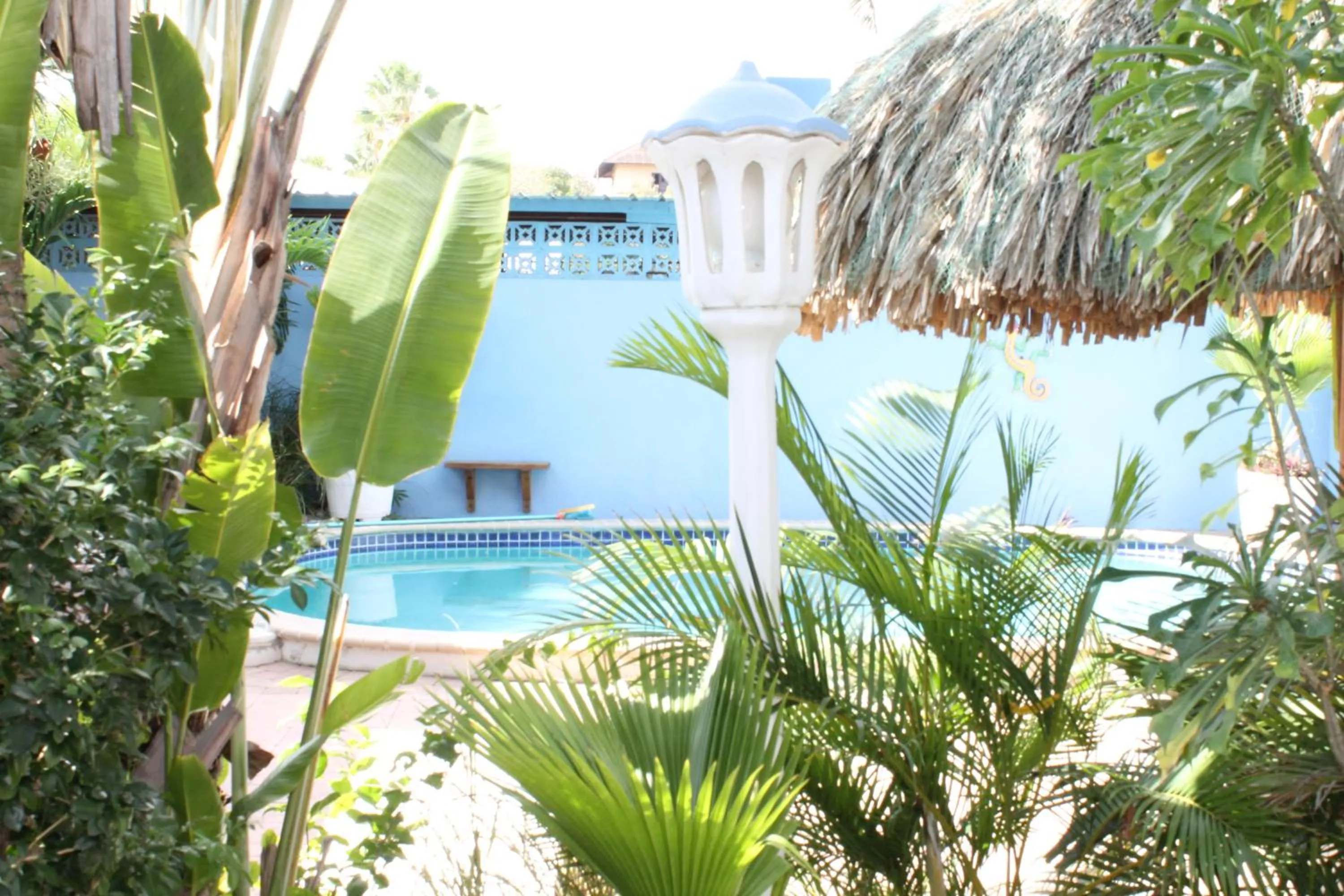 Pool view in Caribbean Flower Apartments