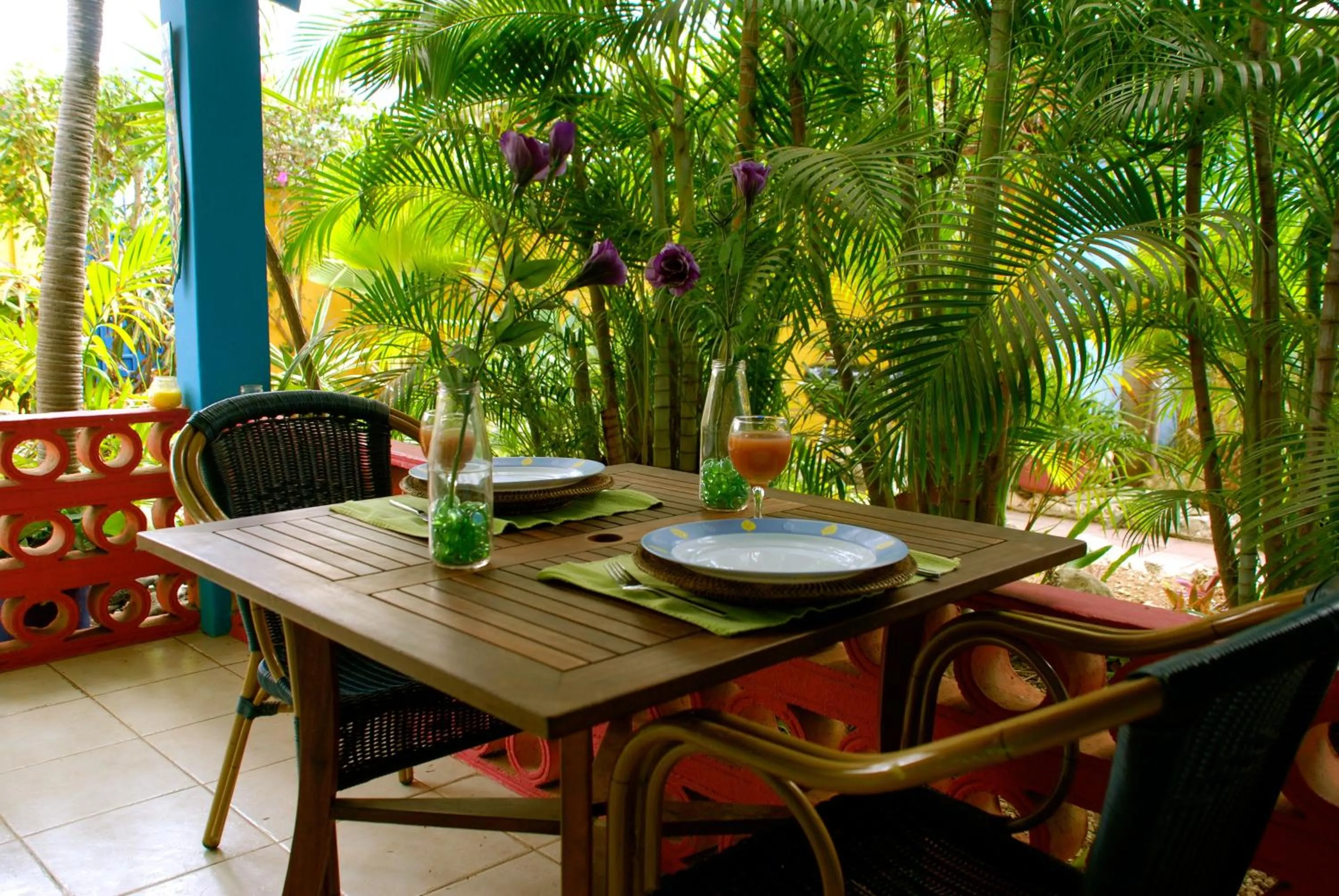 Balcony/Terrace in Caribbean Flower Apartments