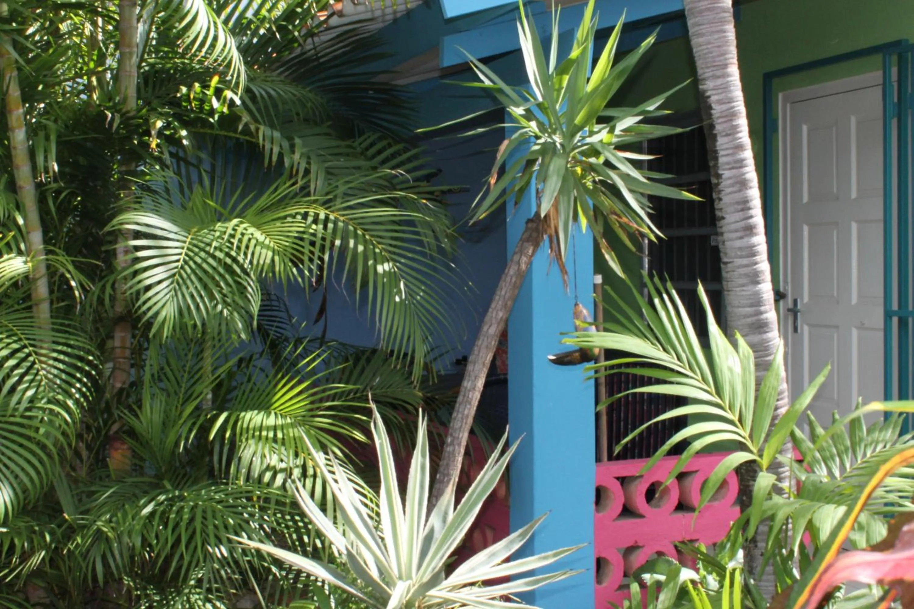 Decorative detail in Caribbean Flower Apartments
