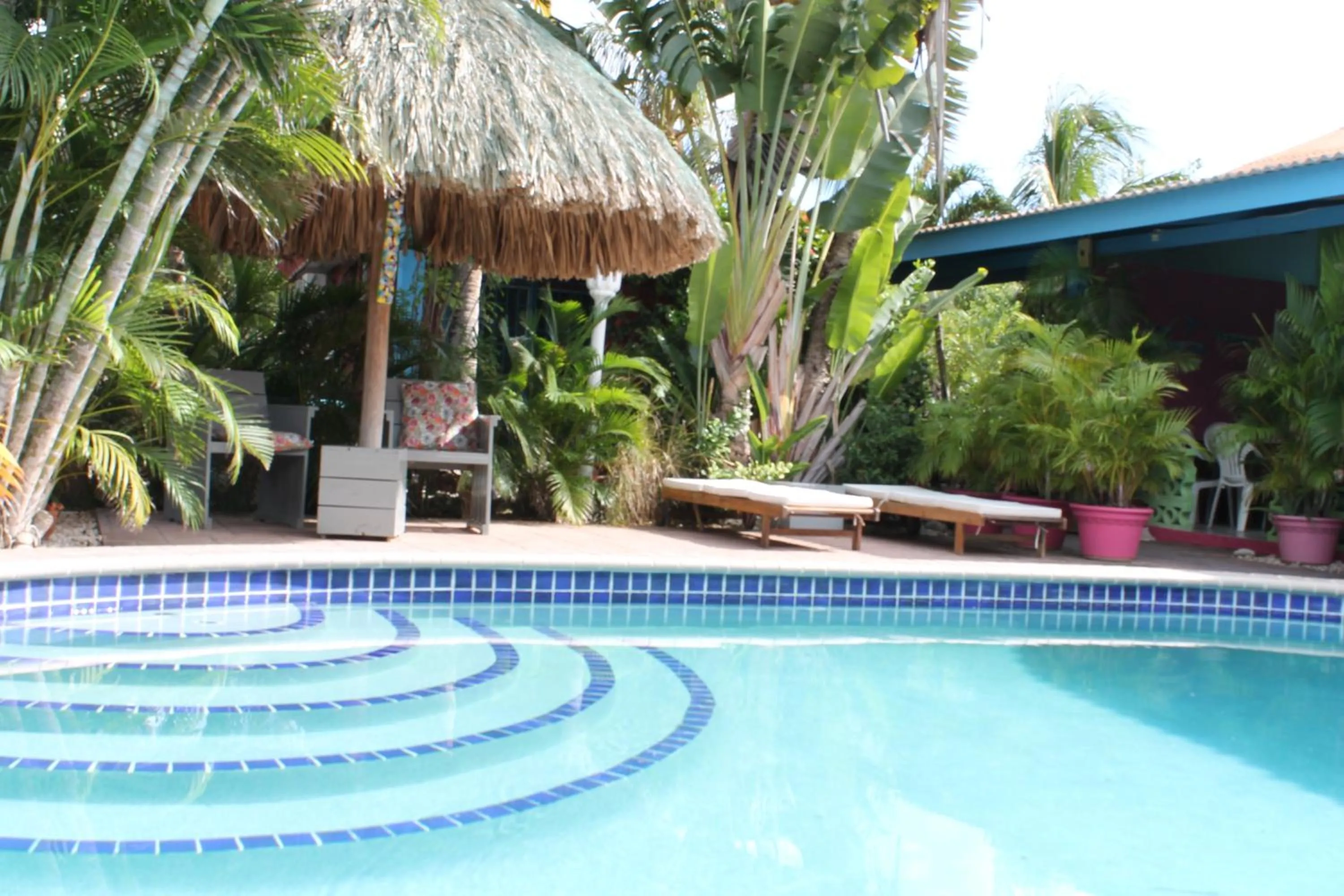 Swimming pool in Caribbean Flower Apartments