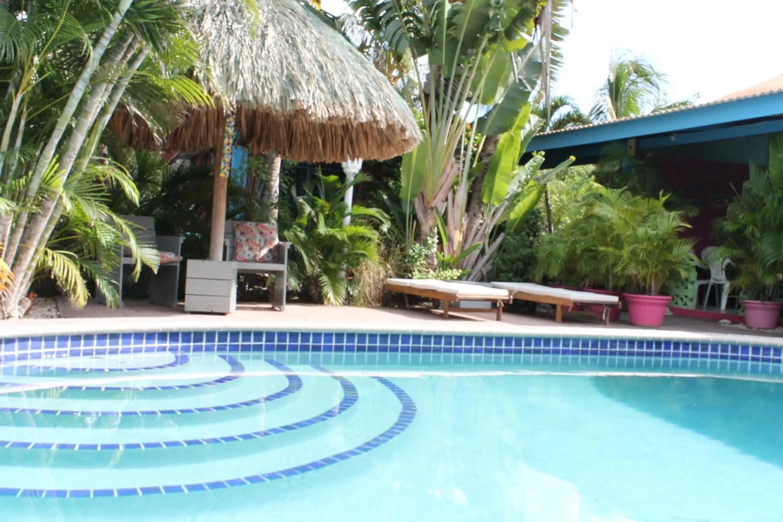 Caribbean Flower Apartments Caribbean Flower Apartments