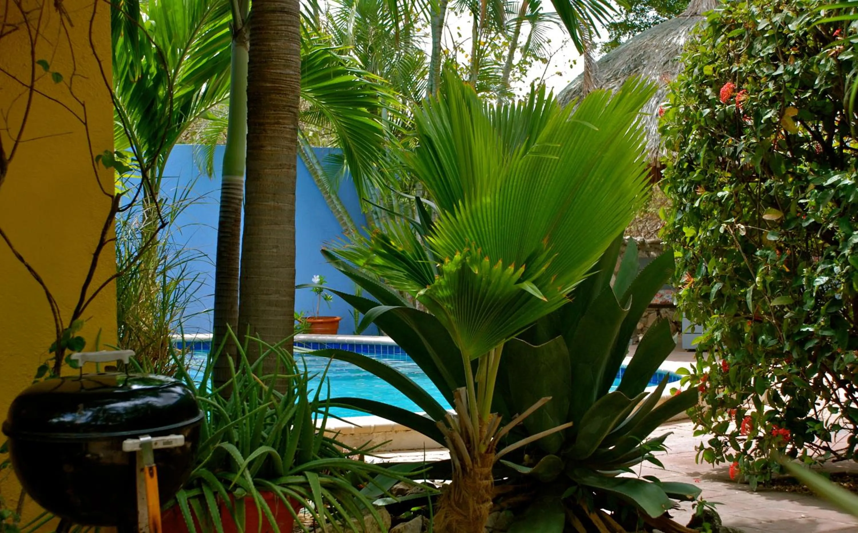 Pool view in Caribbean Flower Apartments