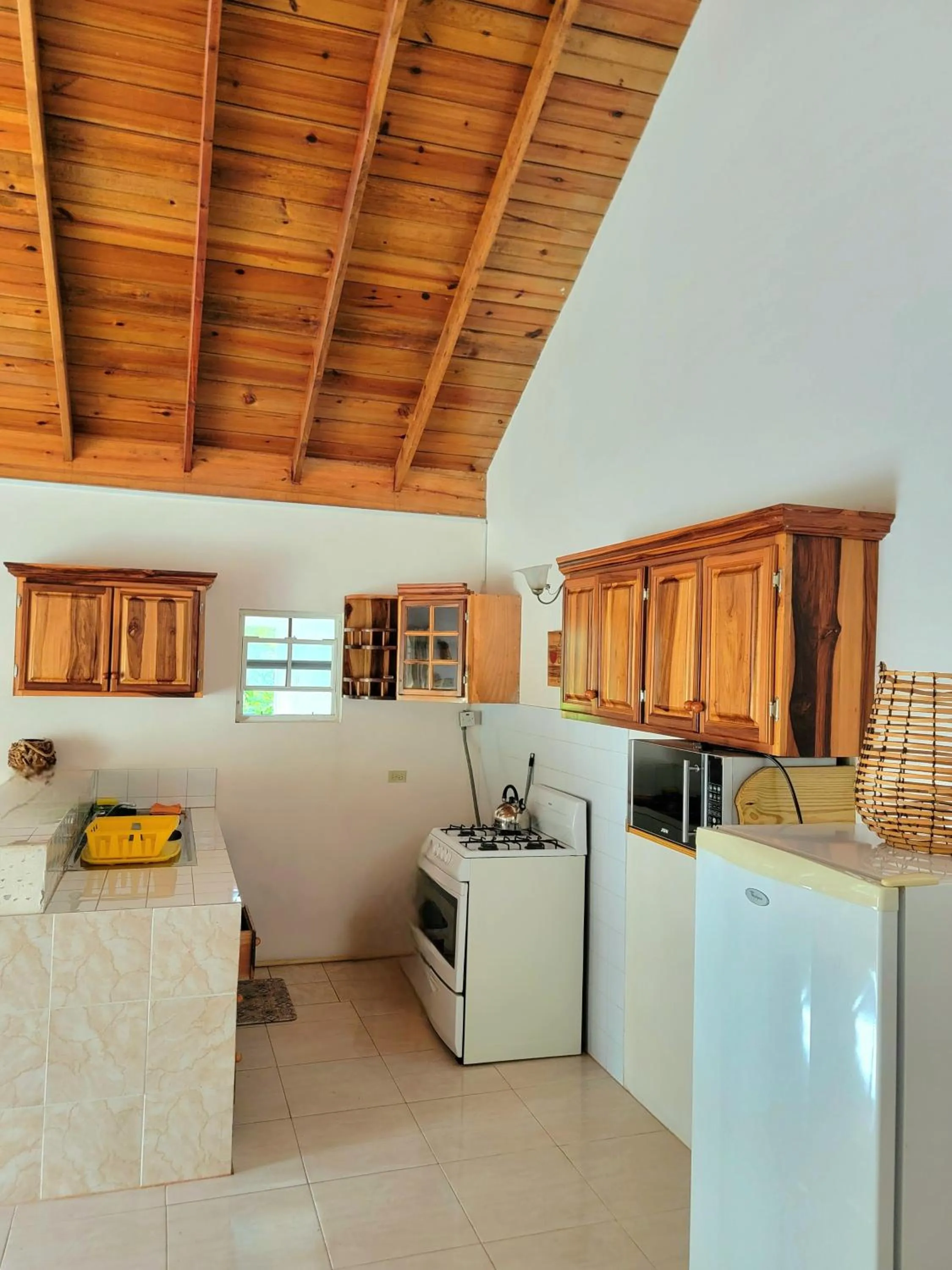 kitchen in Green's Palace Jamaica