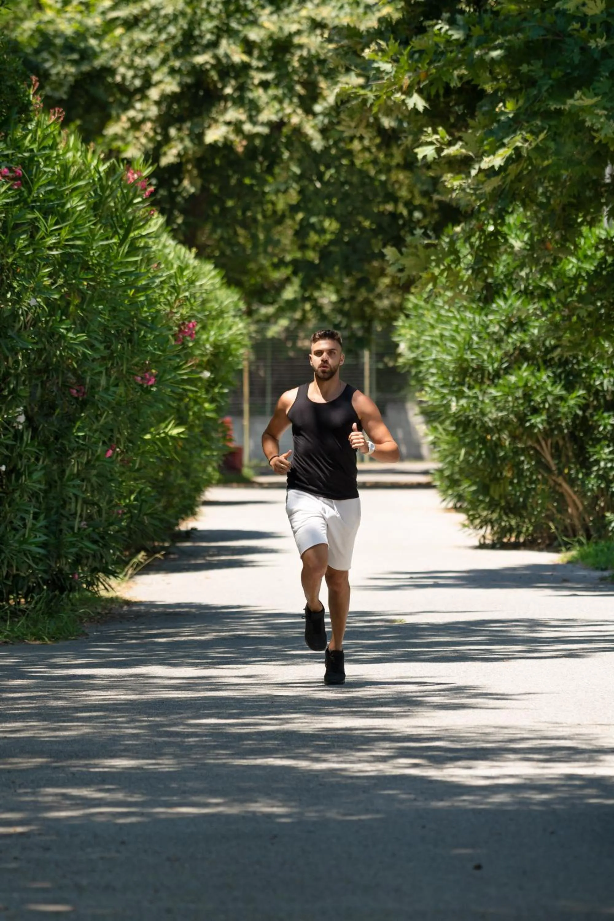 Garden in Olympios Zeus