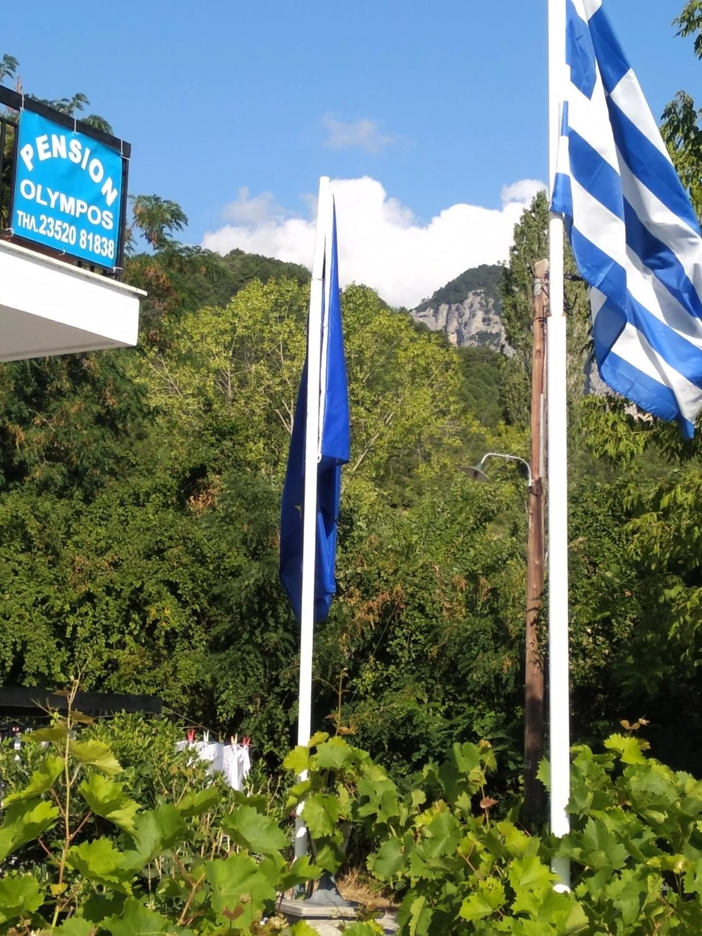 Two-Bedroom Apartment in Pension Olympus