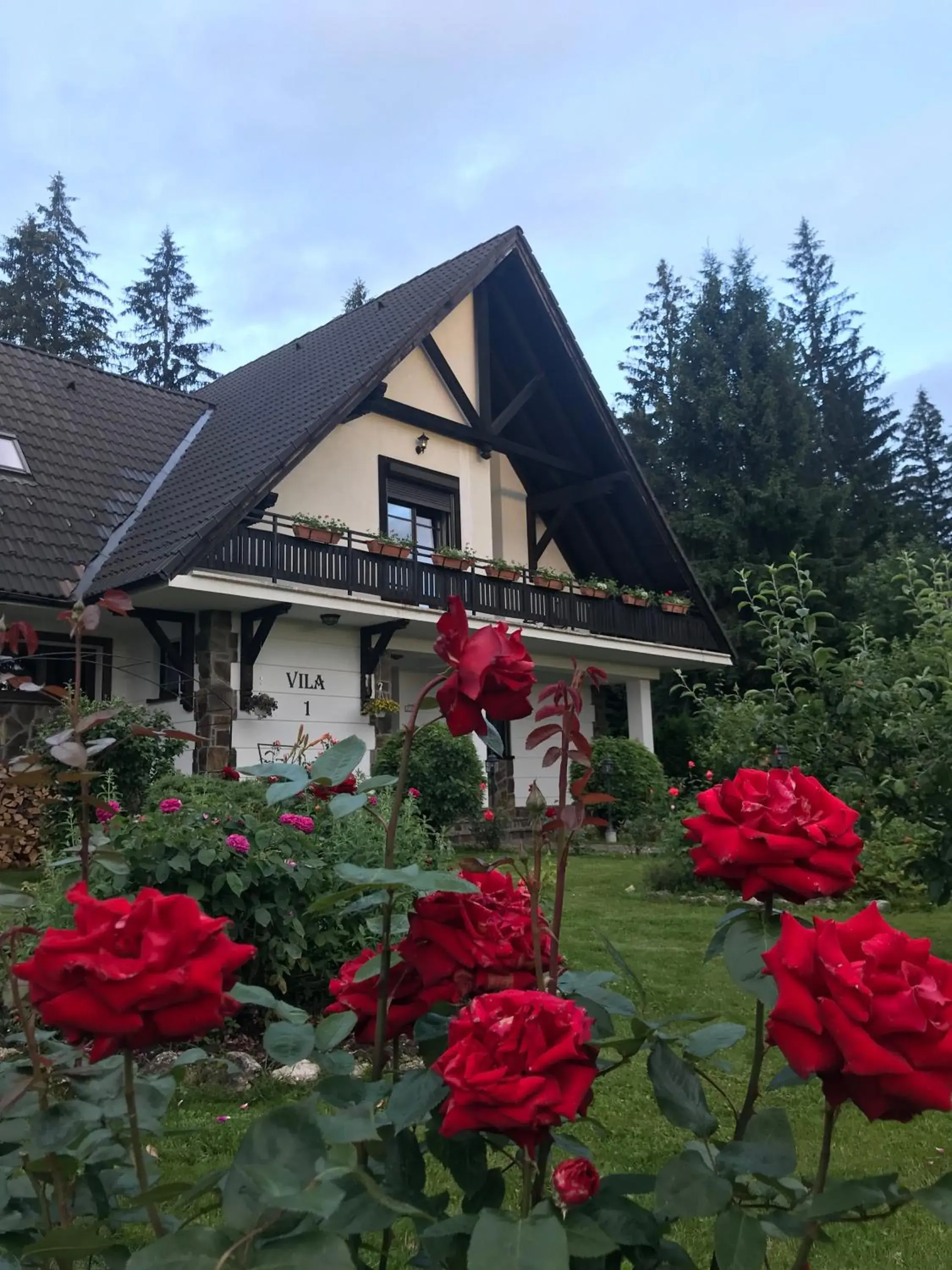 Complex Vile- Milana M Residence Complex Vile- Milana M Residence