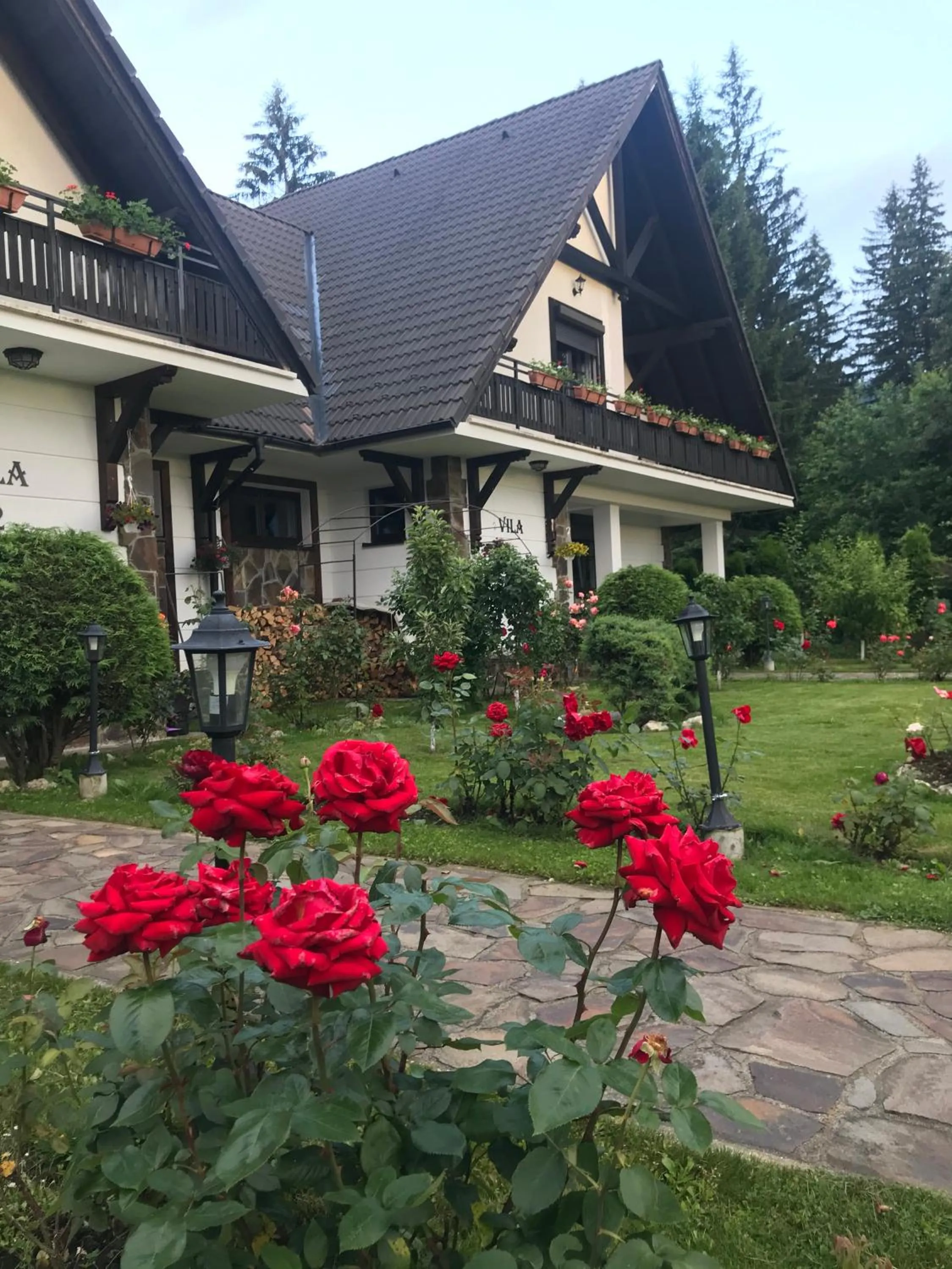 Complex Vile- Milana M Residence