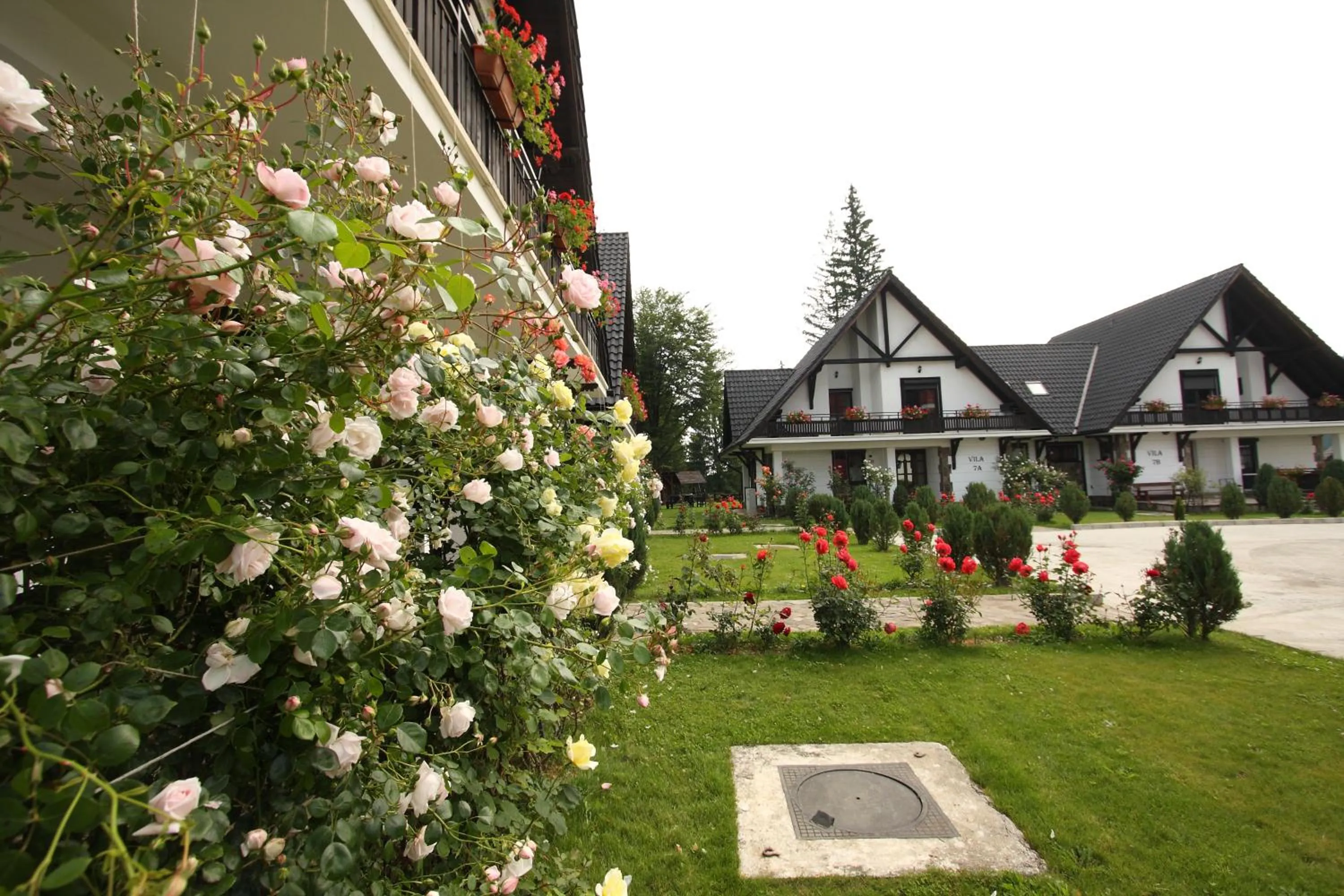 Property building in Complex Vile- Milana M Residence