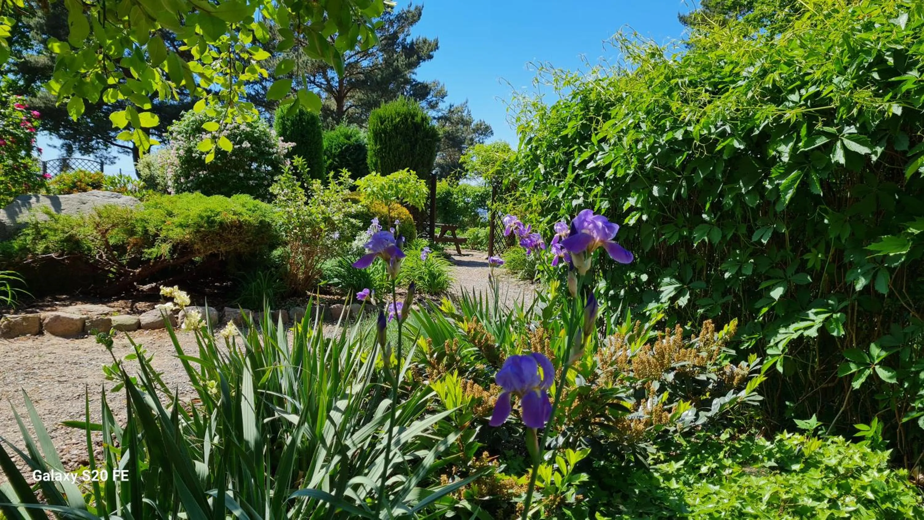 Garden in Dom Na Bukowym Wzgórzu
