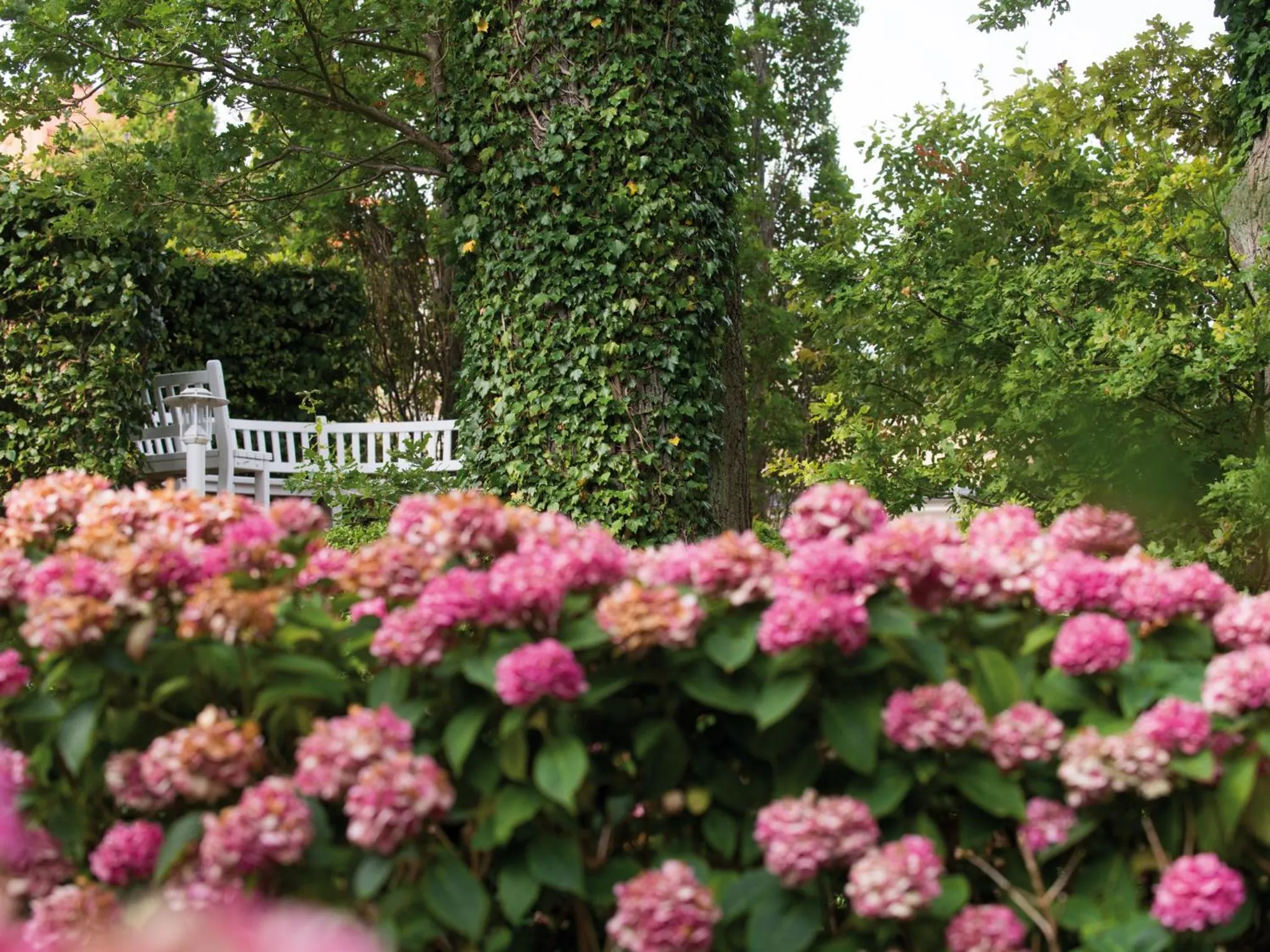 Garden in aja Nordperd & Villen Göhren