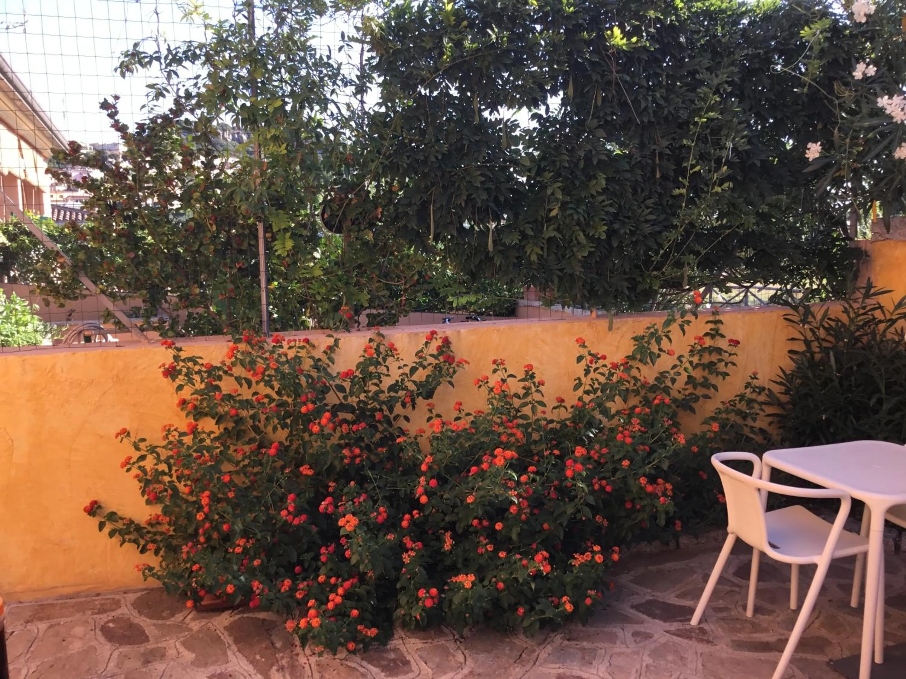 Property building in B&B Levante Posada