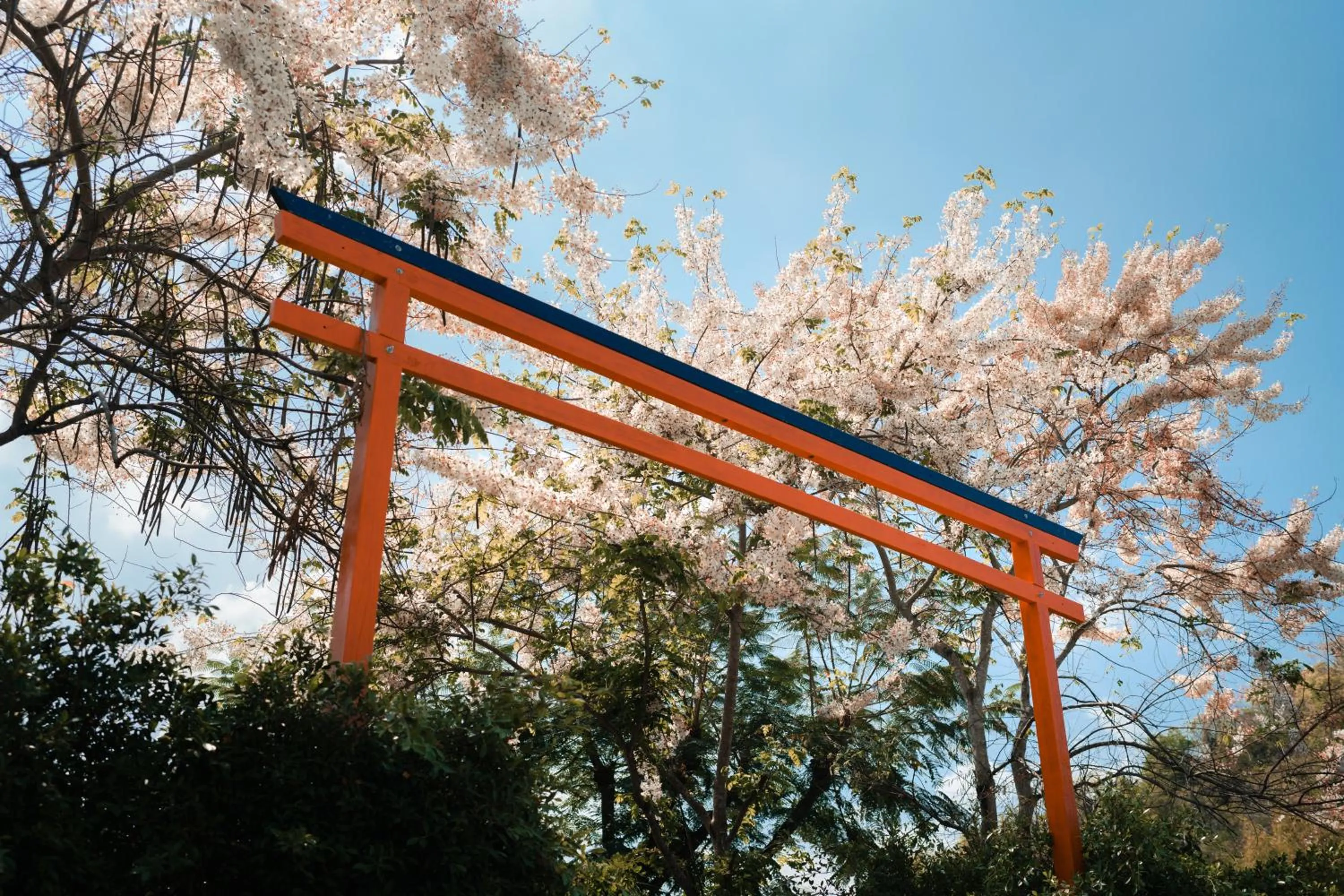 Spring in The X10 private pool villa khaoyai SHA Certified เขาใหญ่