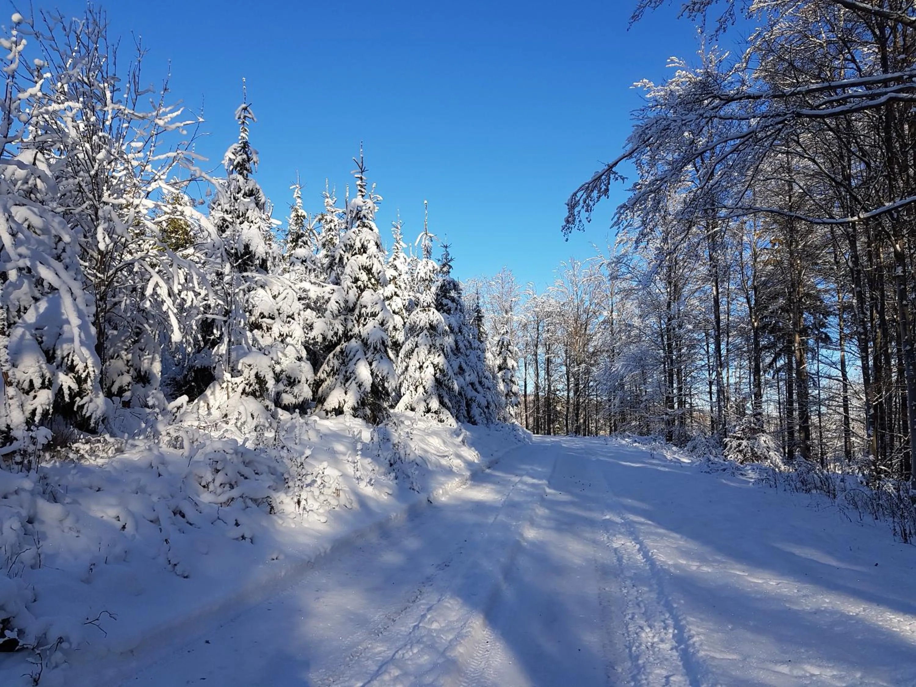 Ferienhaus am Ruhberg