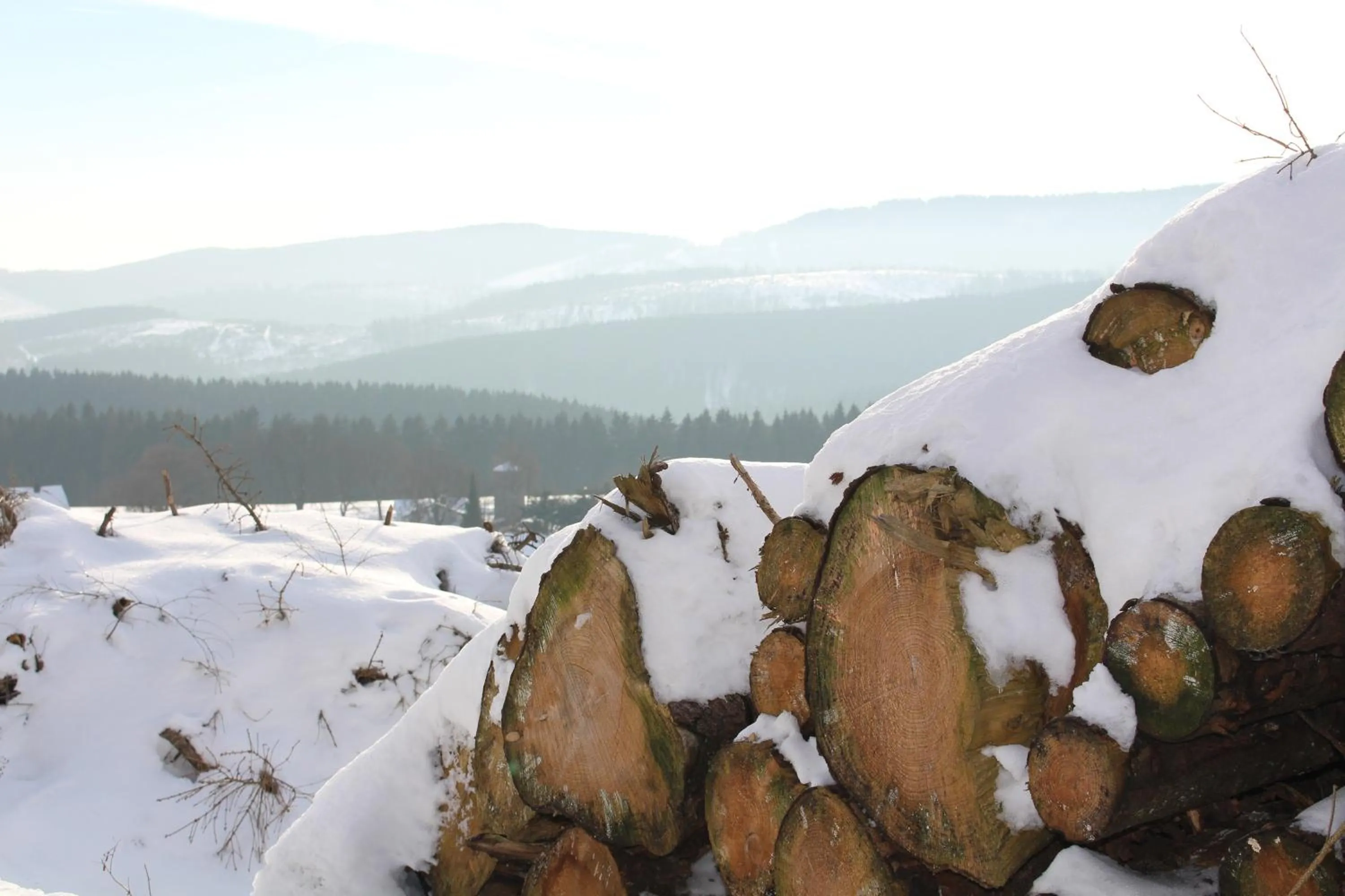 Ferienhaus am Ruhberg