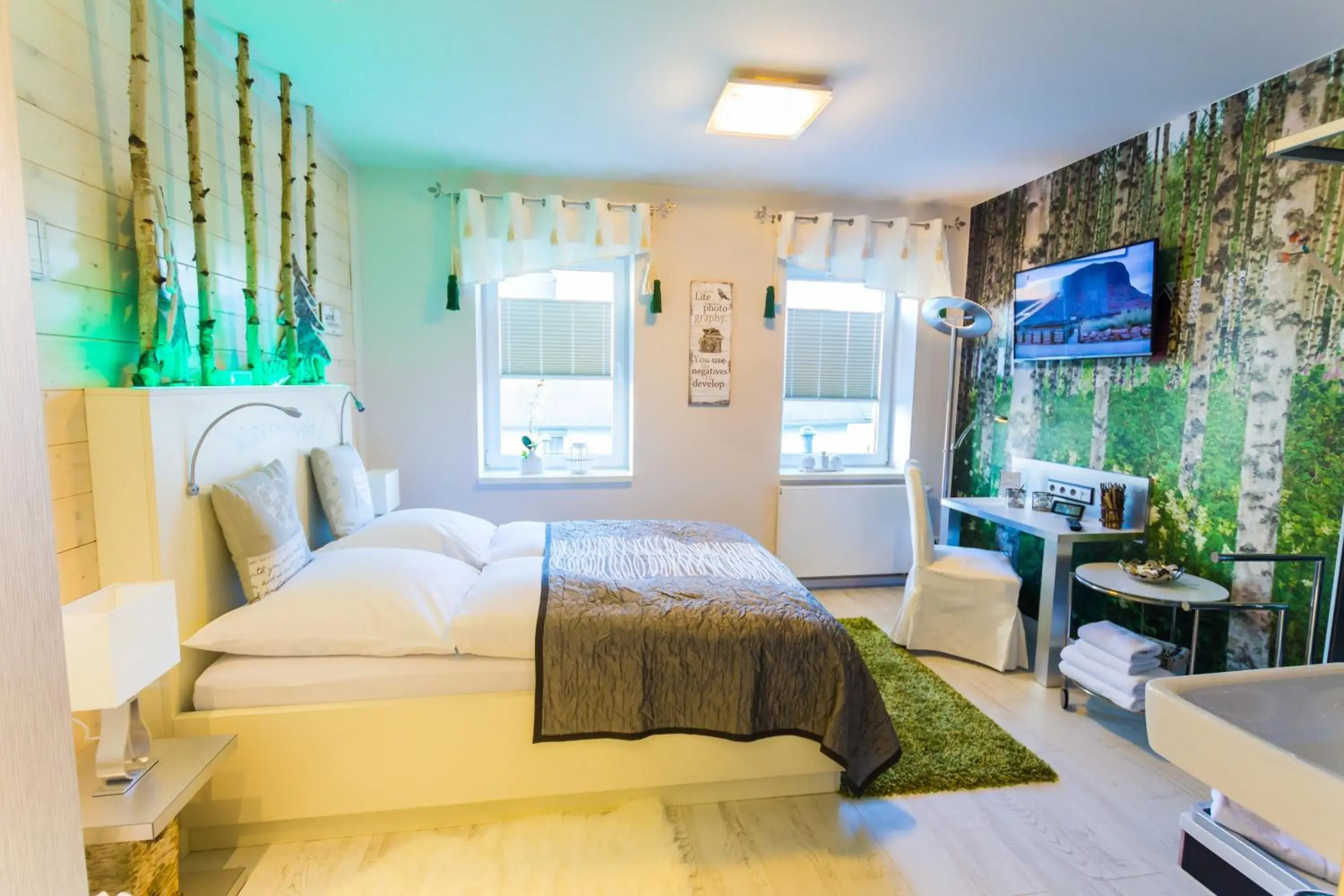 Double Room - single occupancy in Hotel Röhrsdorfer Hof Double Room - single occupancy in Hotel Röhrsdorfer Hof