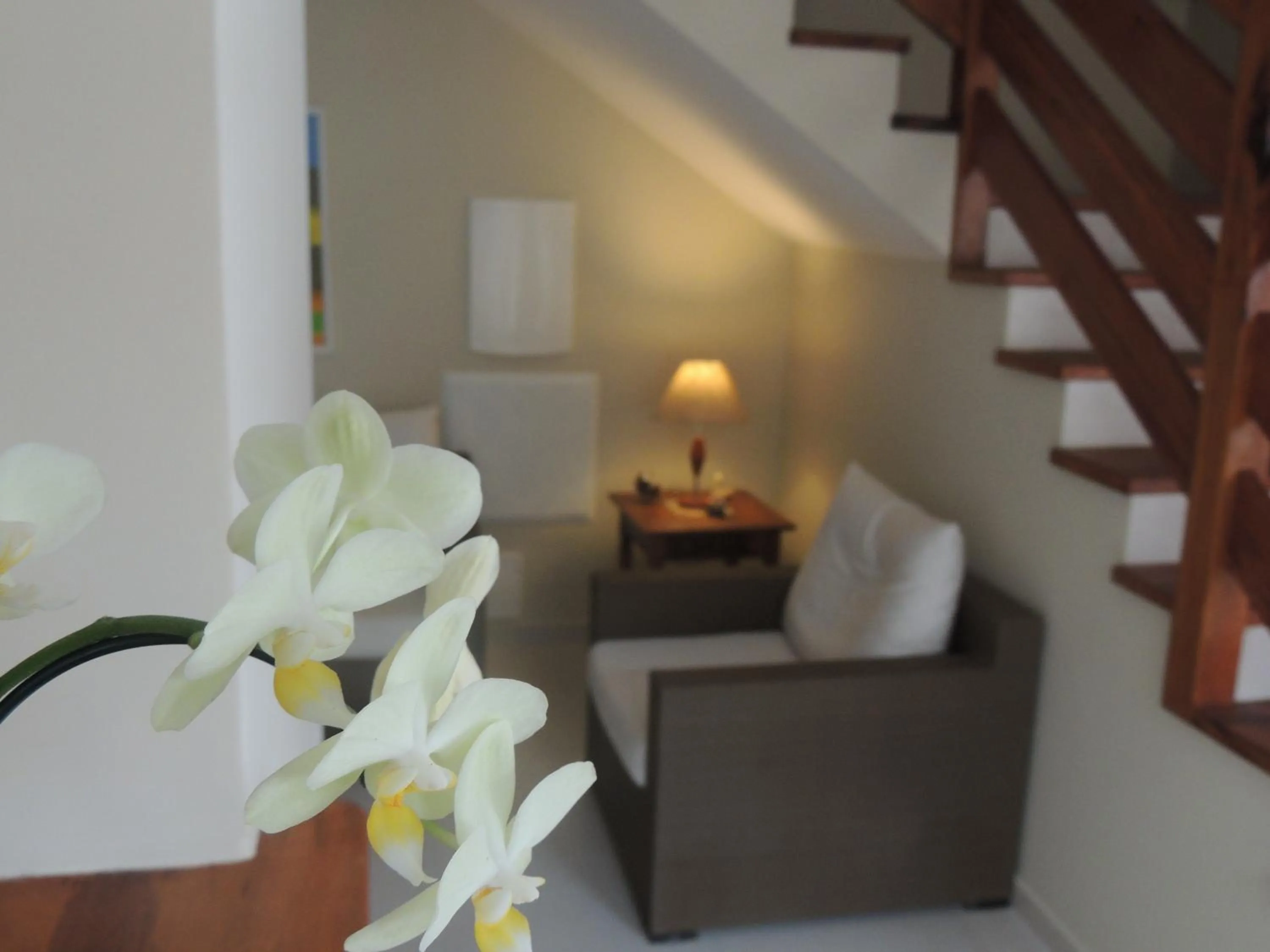 Decorative detail in Pousada Don Diego