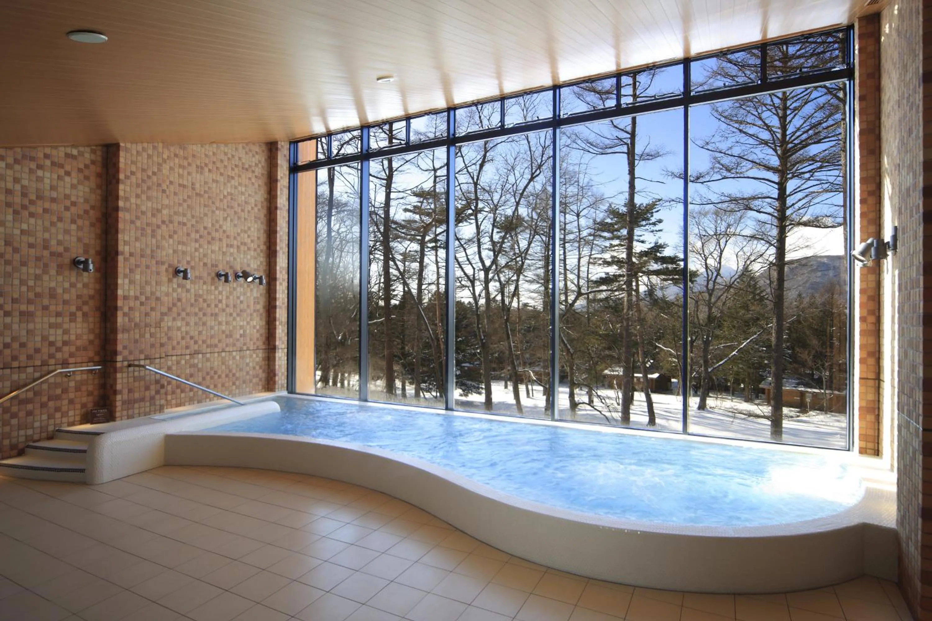 Hot Spring Bath in The Prince Karuizawa