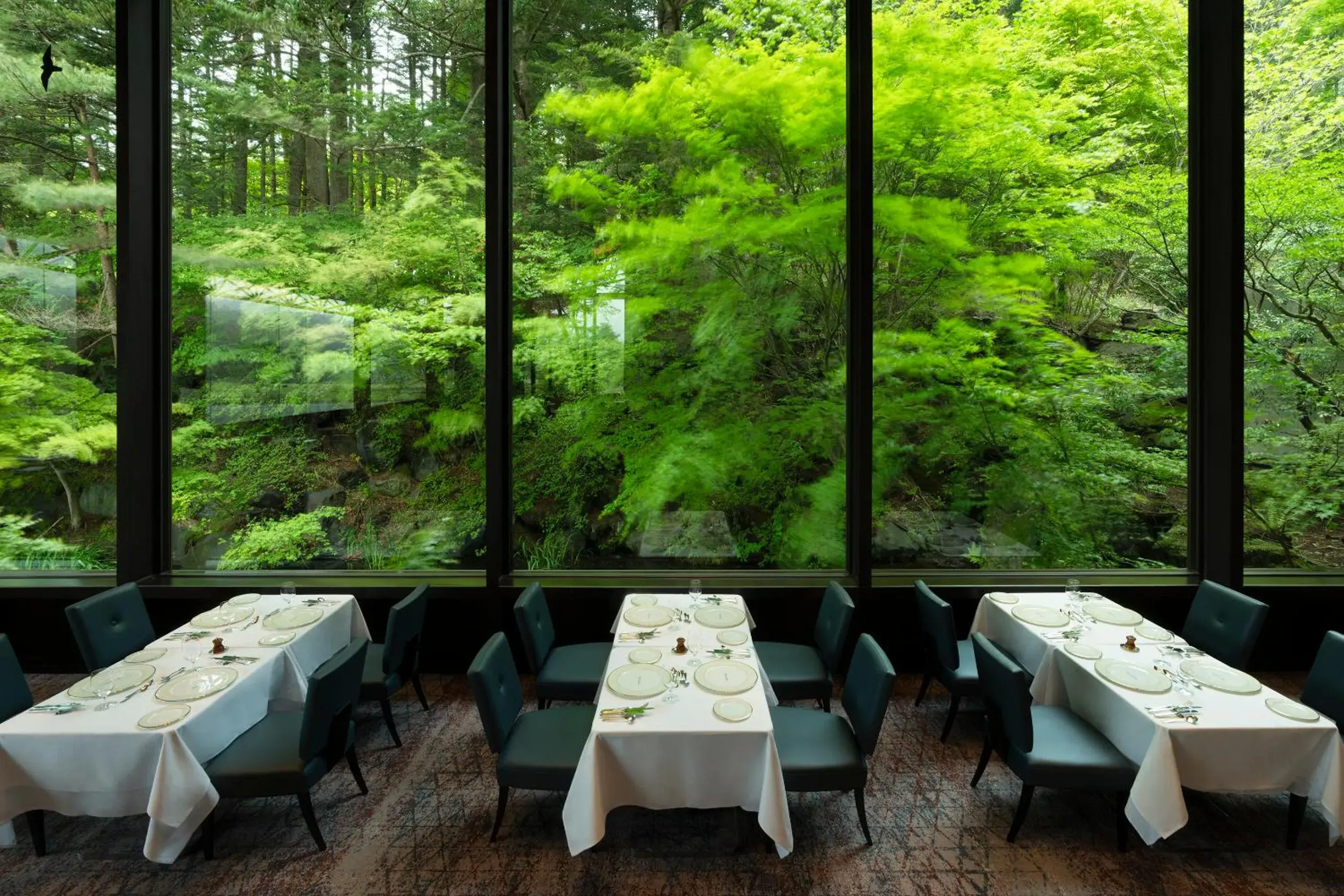 Restaurant/places to eat in The Prince Karuizawa Restaurant/places to eat in The Prince Karuizawa
