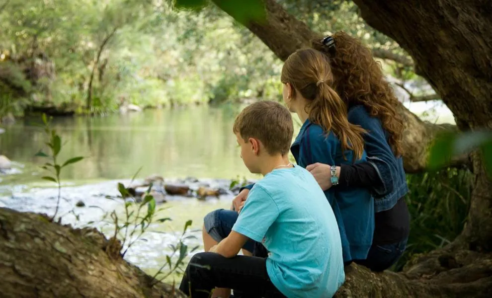 Riverwood Downs Of Barrington Tops