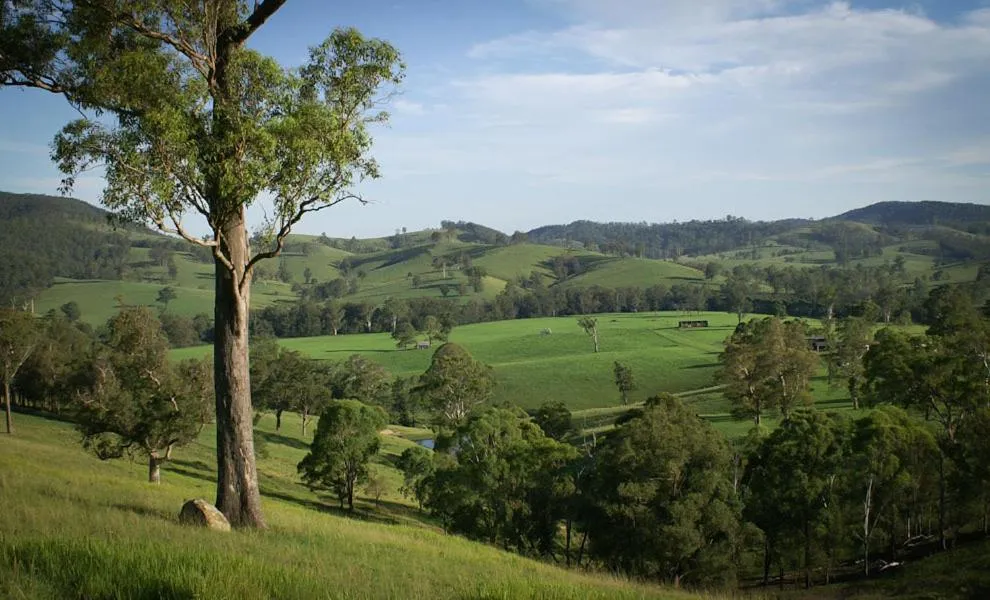 Riverwood Downs Of Barrington Tops