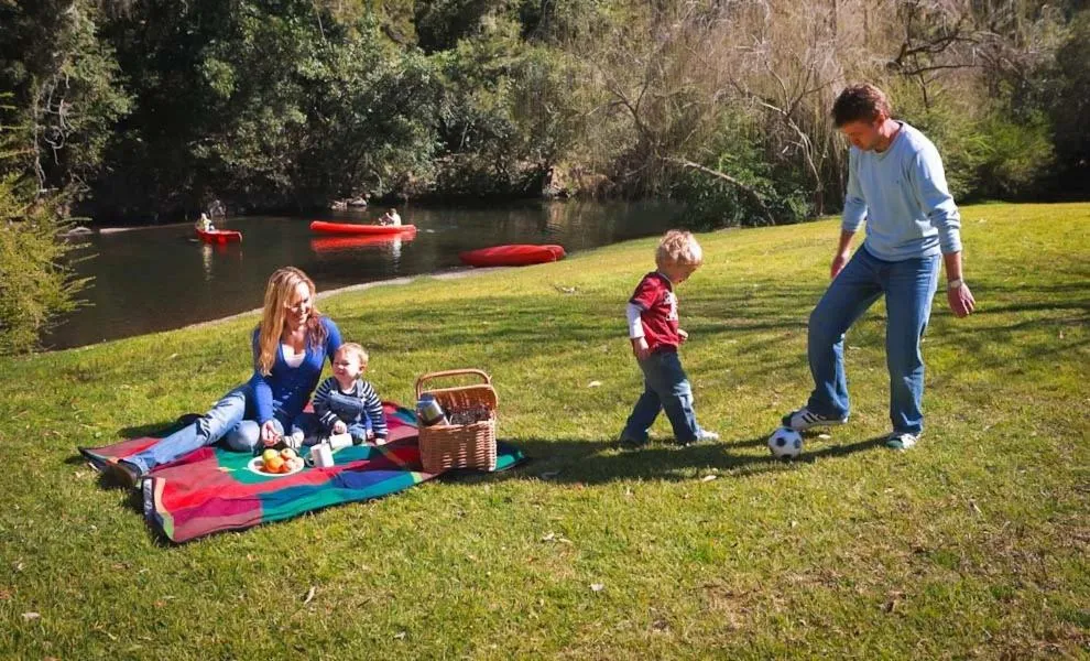 Riverwood Downs Of Barrington Tops