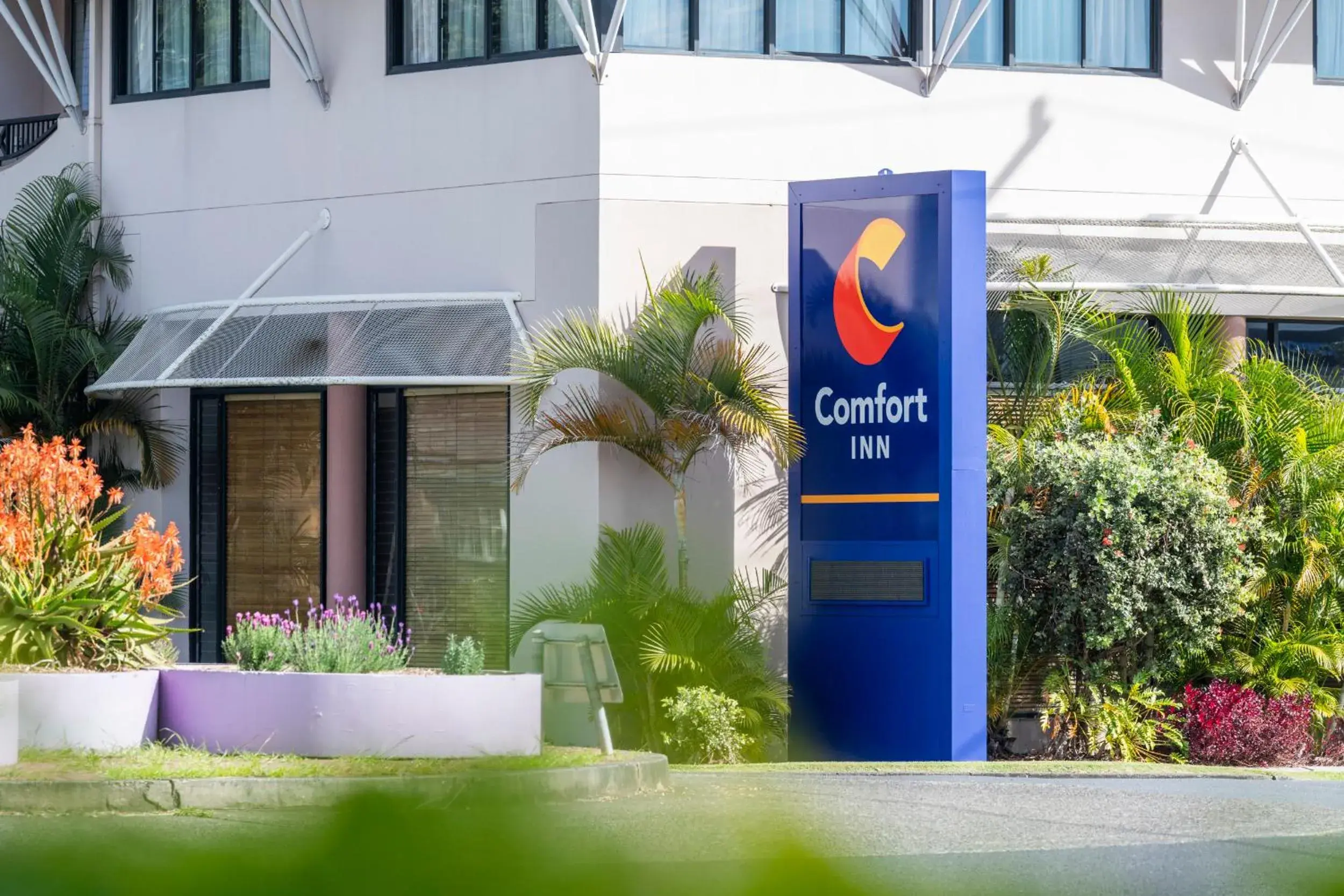 Comfort Inn Grafton Comfort Inn Grafton