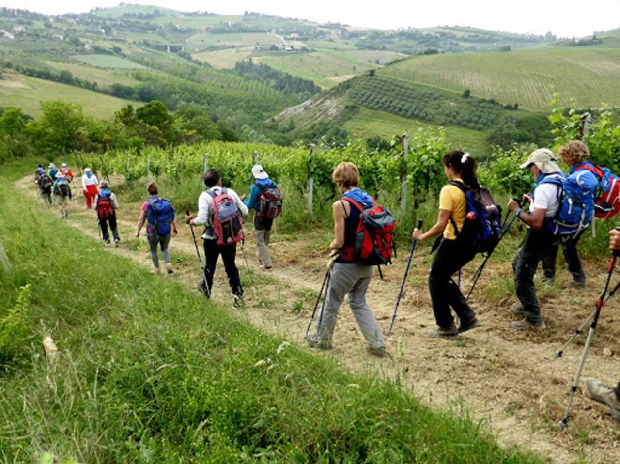 Activities in Residence Borgo Offida