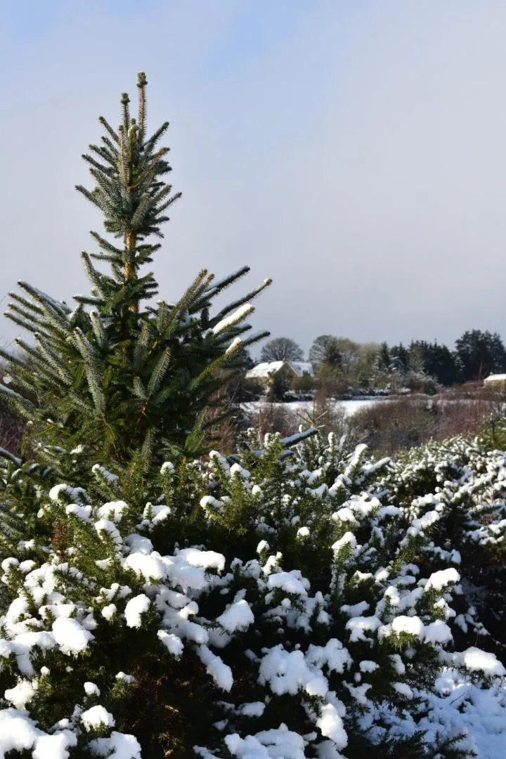 Neighbourhood in Ticketyboo Suites