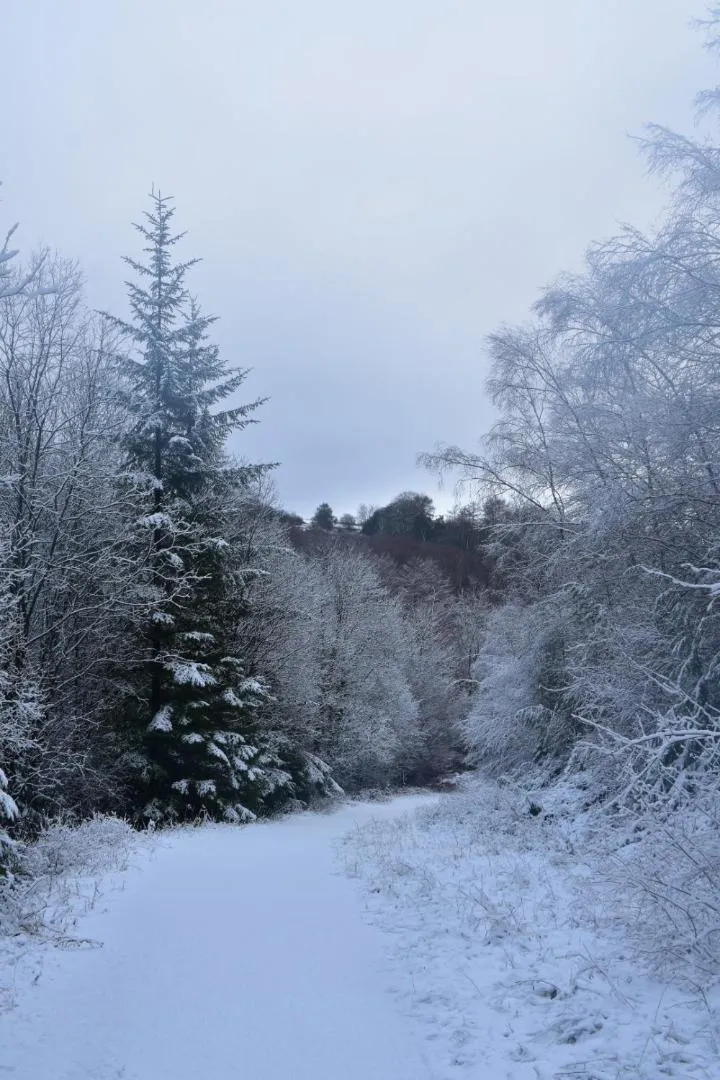 Hiking in Ticketyboo Suites