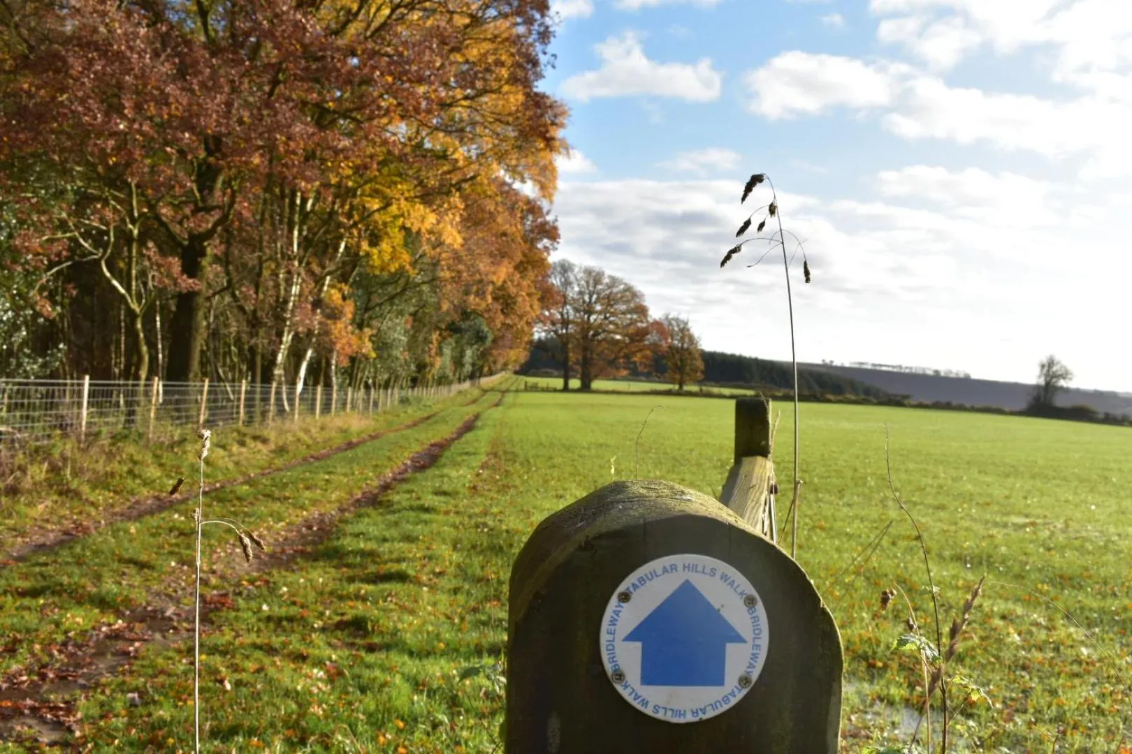 Cycling in Ticketyboo Suites