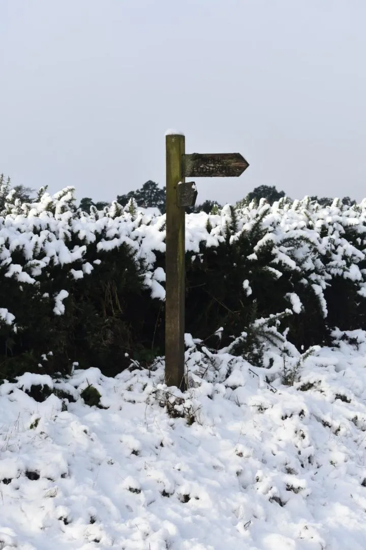 Neighbourhood in Ticketyboo Suites