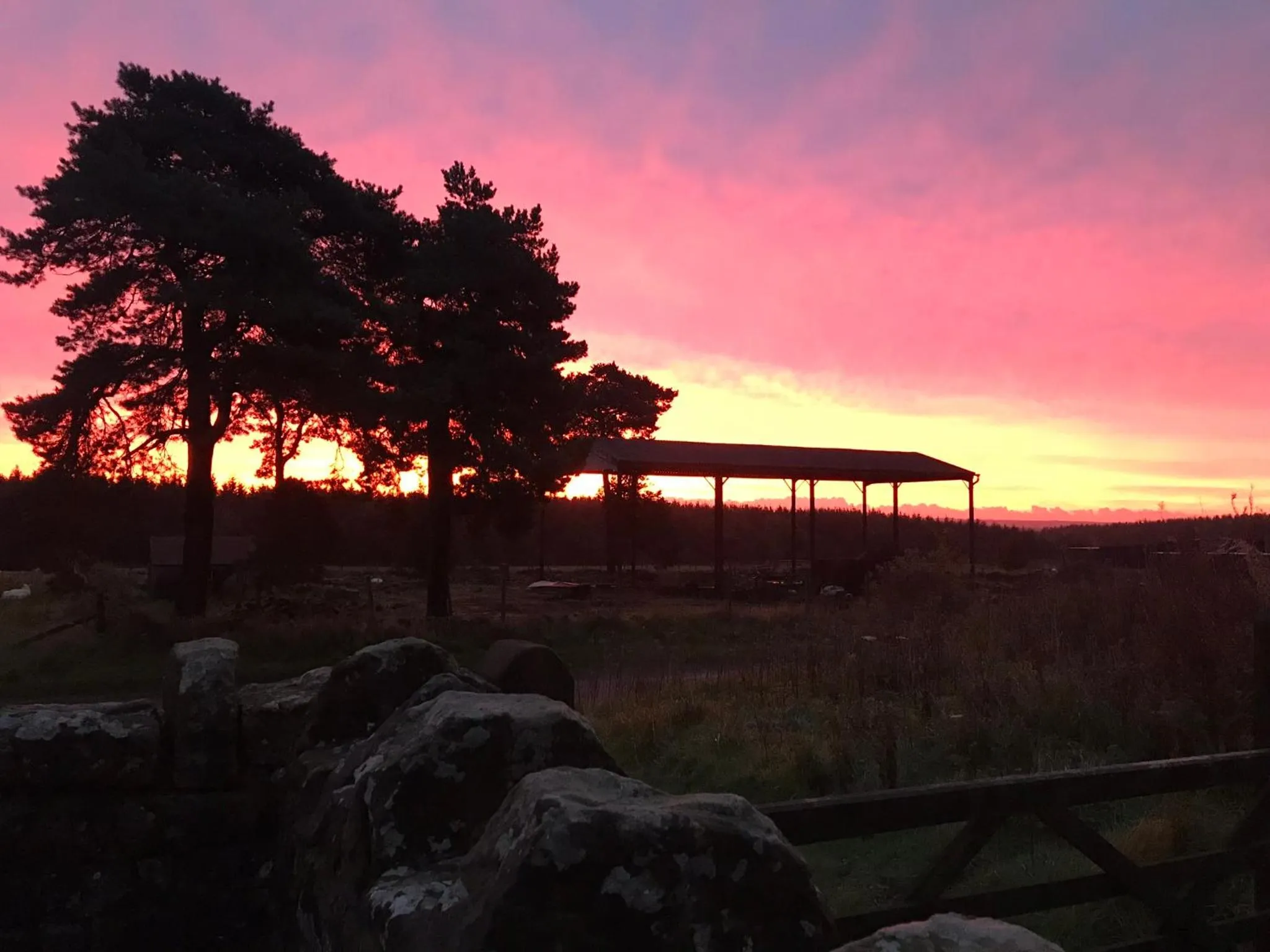 Property building in Ticketyboo Suites