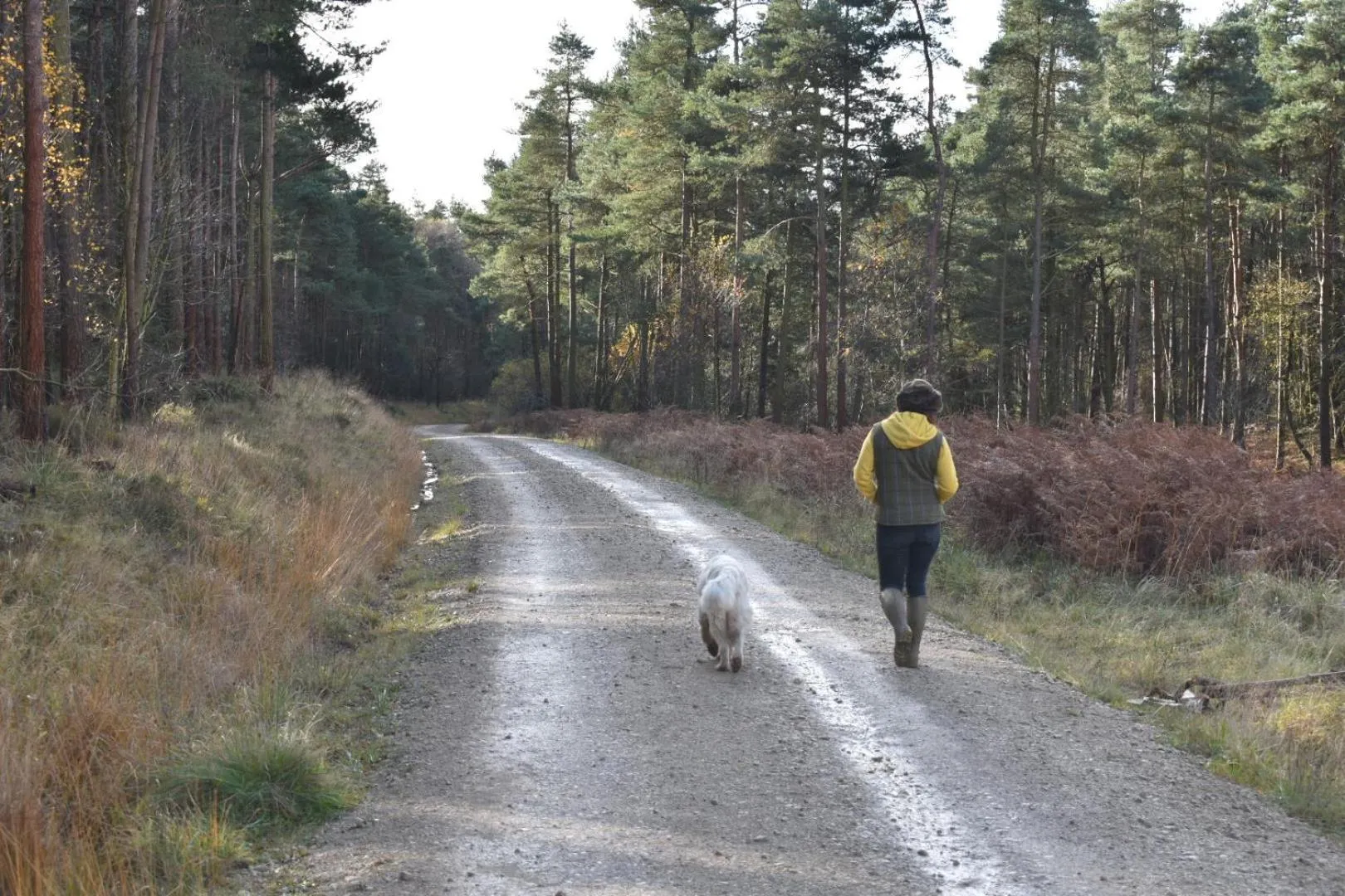Hiking in Ticketyboo Suites