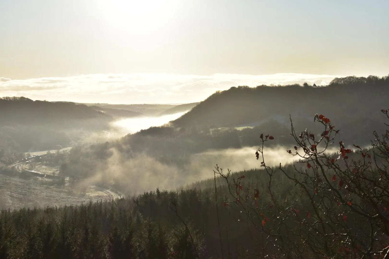 Natural landscape in Ticketyboo Suites