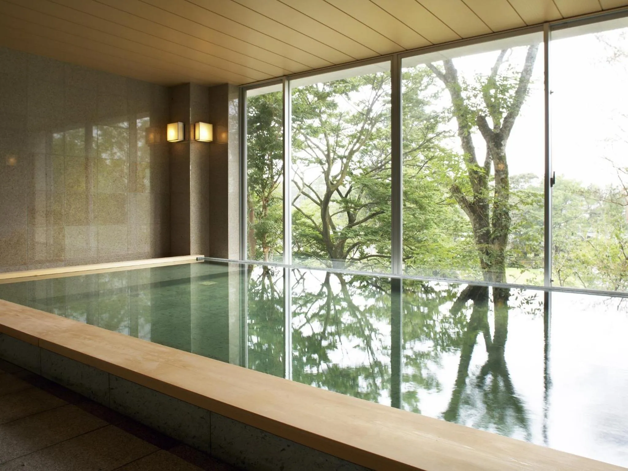 Hot Spring Bath in Mars Garden Wood Gotenba