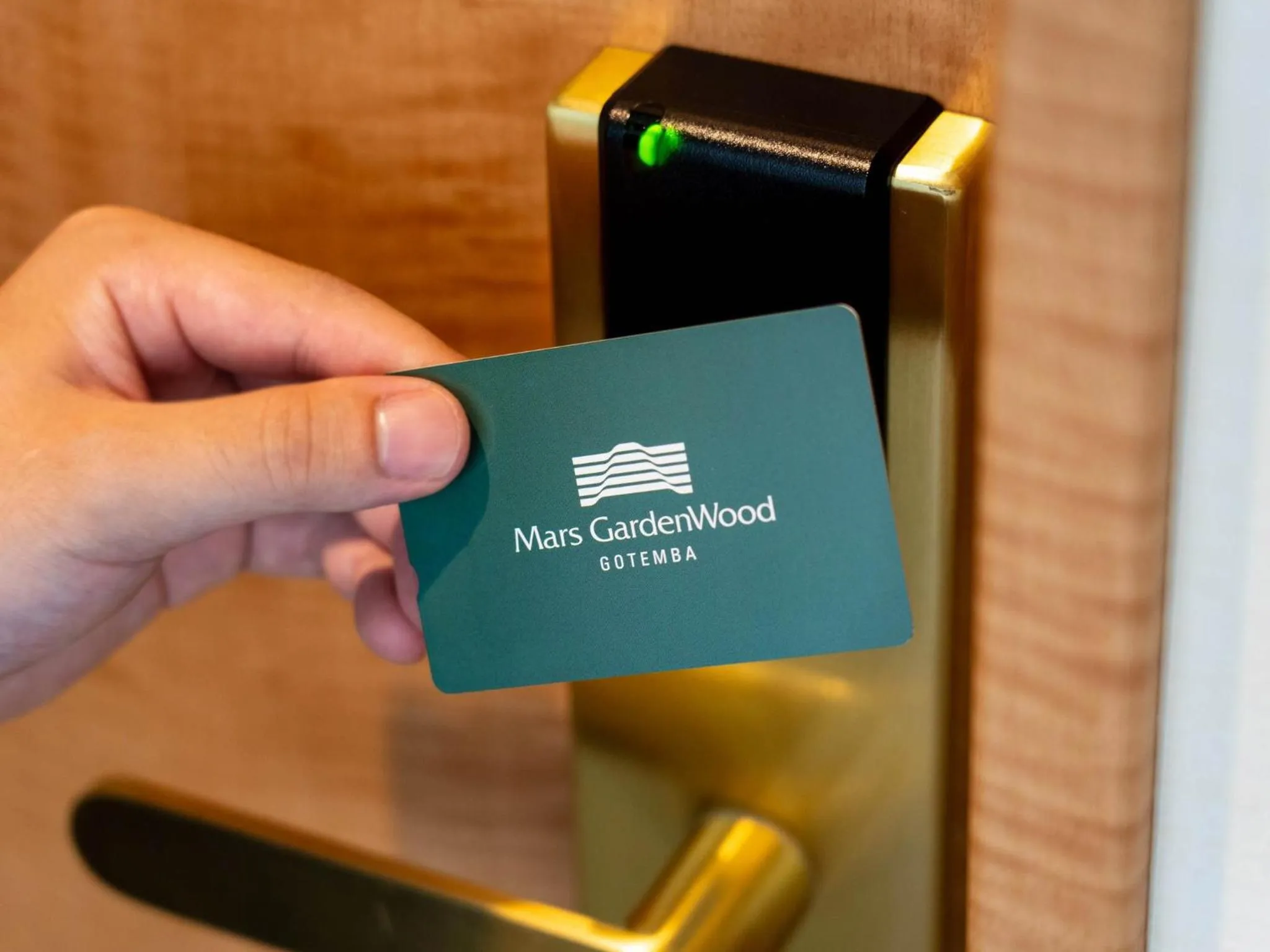 Photo of the whole room in Mars Garden Wood Gotenba