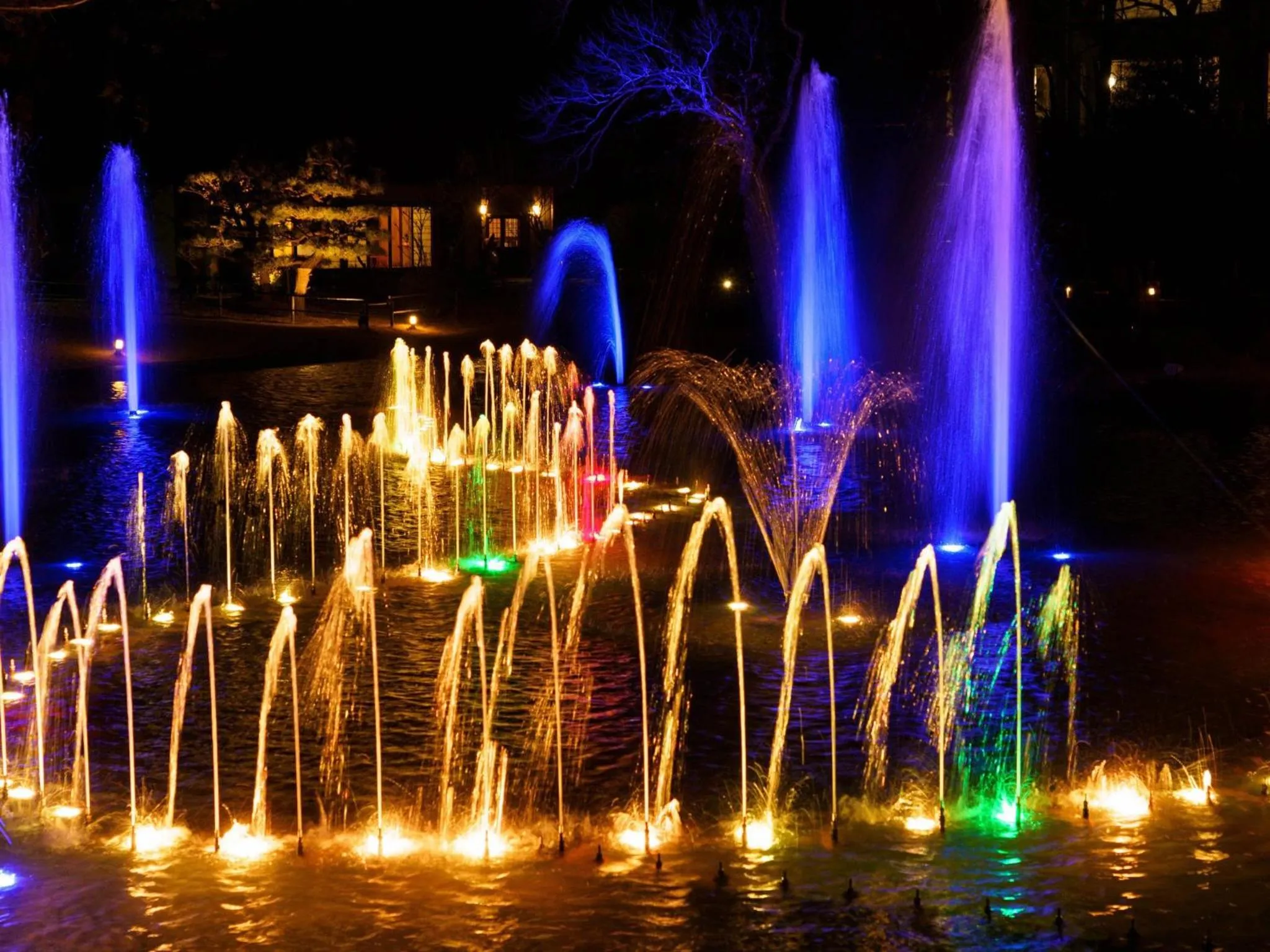 Area and facilities in Mars Garden Wood Gotenba