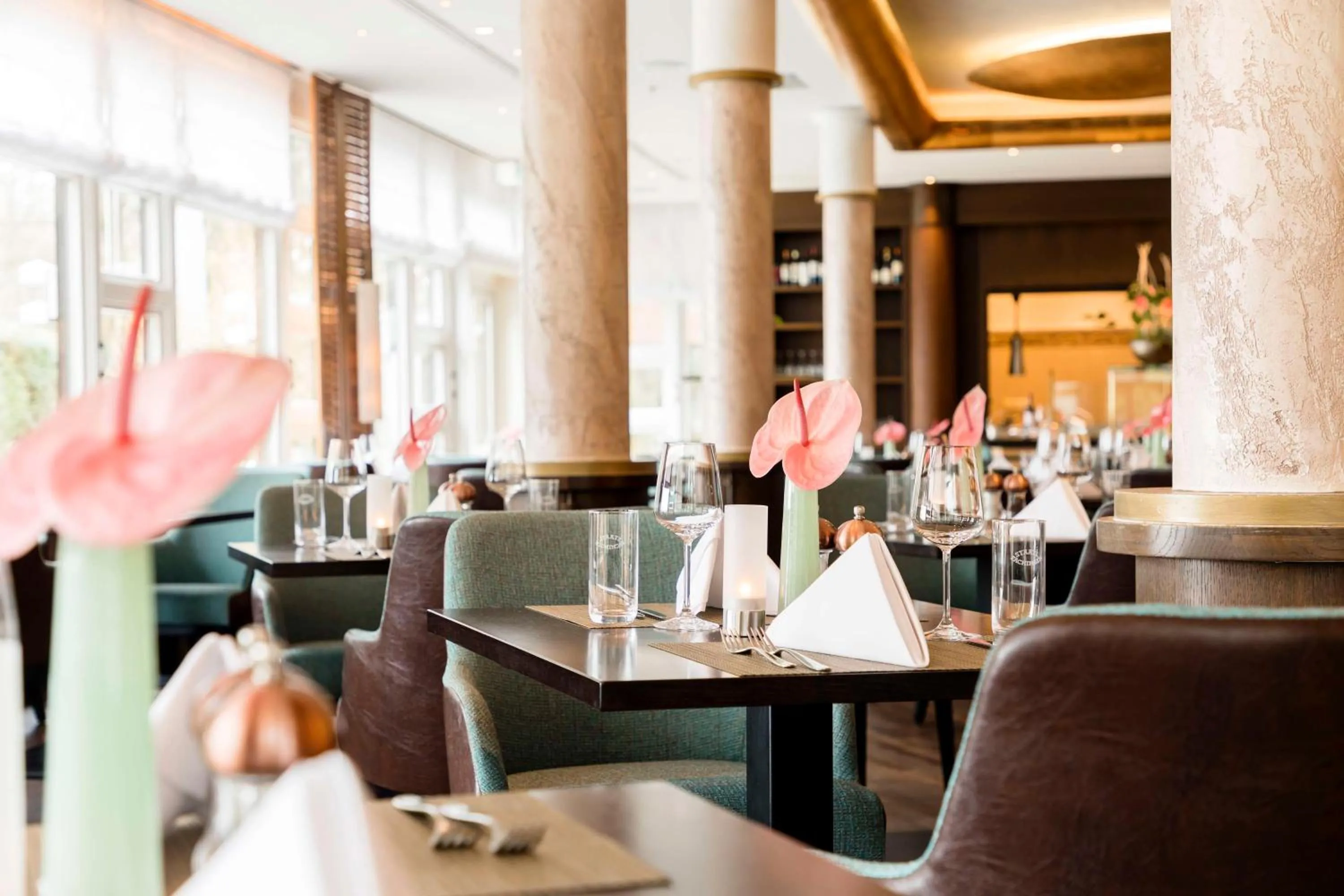 Restaurant/places to eat in Dorint Venusberg Bonn