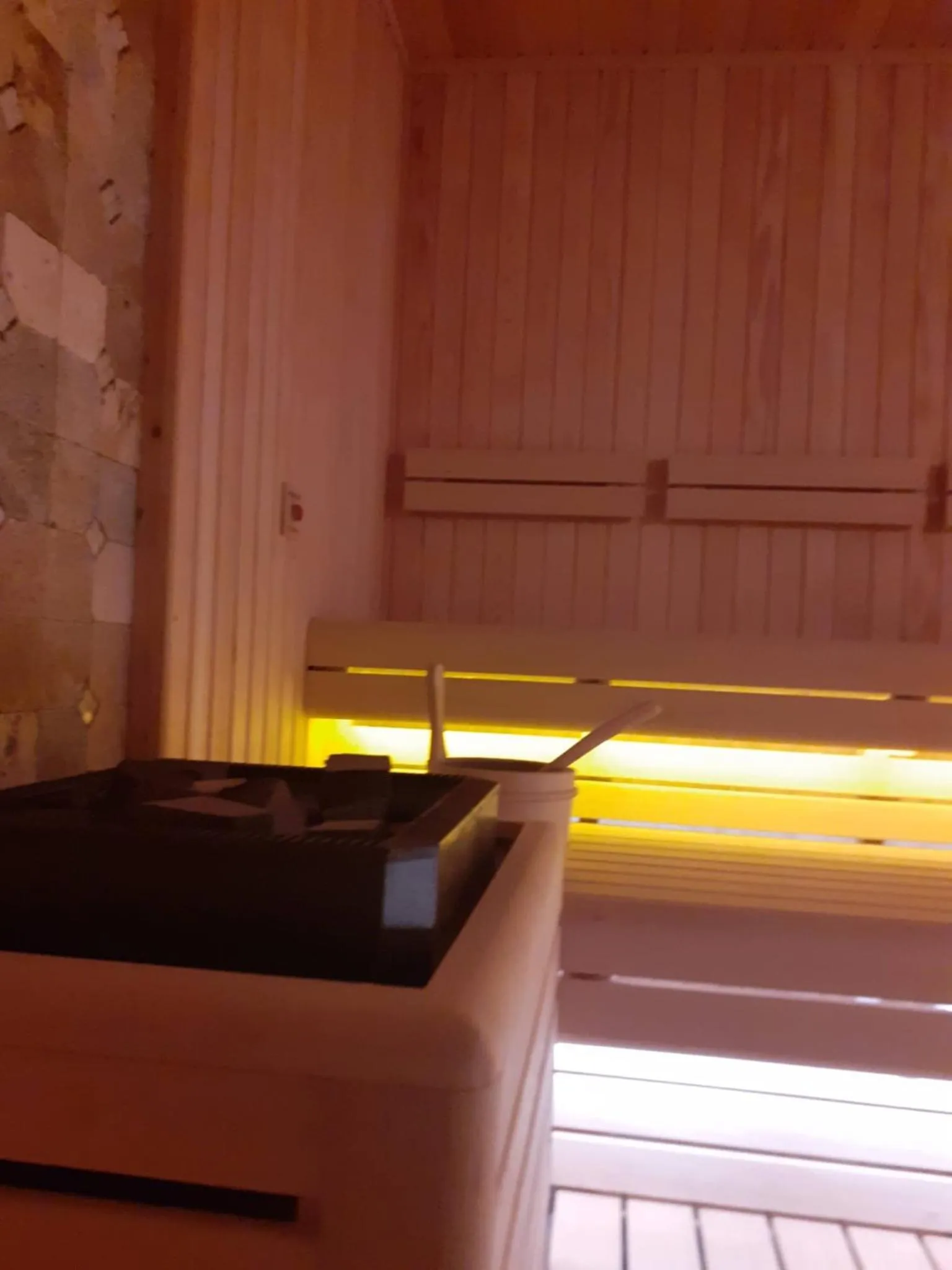 Sauna in Butterfly Butik Hotel