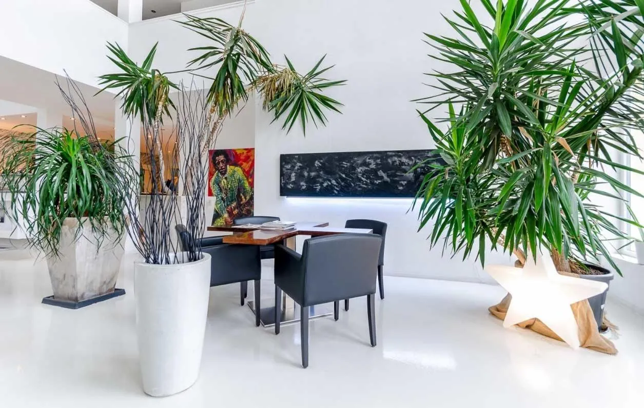 Lobby or reception in Designhotel Youngstar