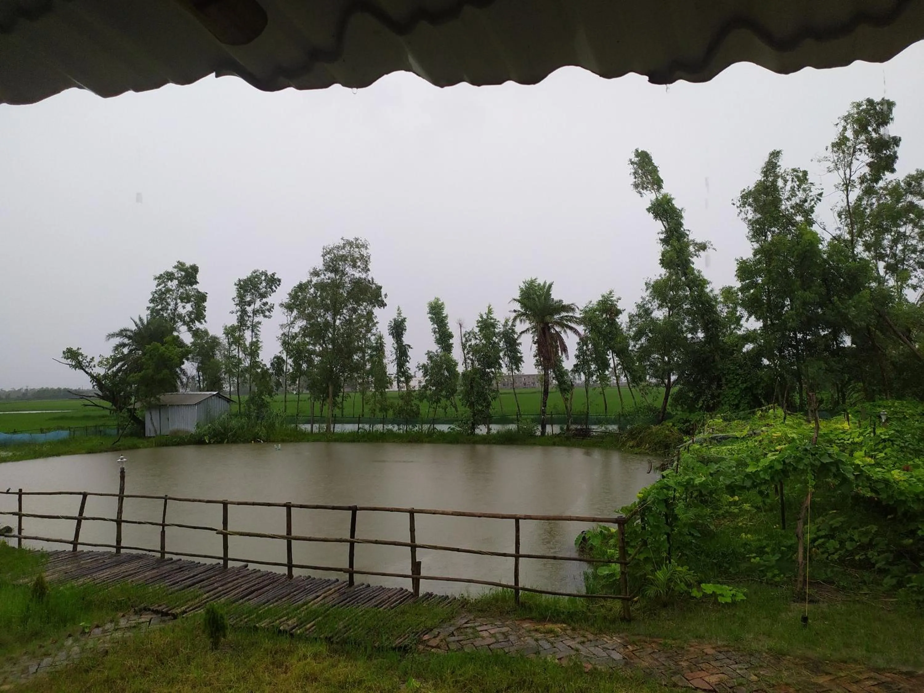 sundarban jungle mahal resort